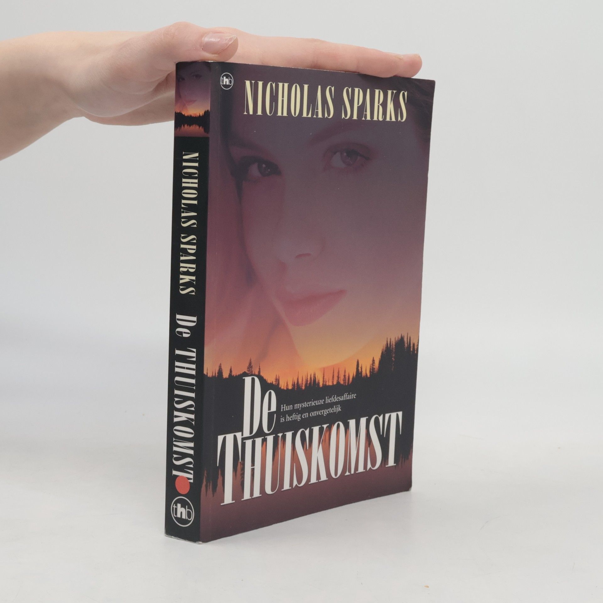 Nicholas Sparks De thuiskomst