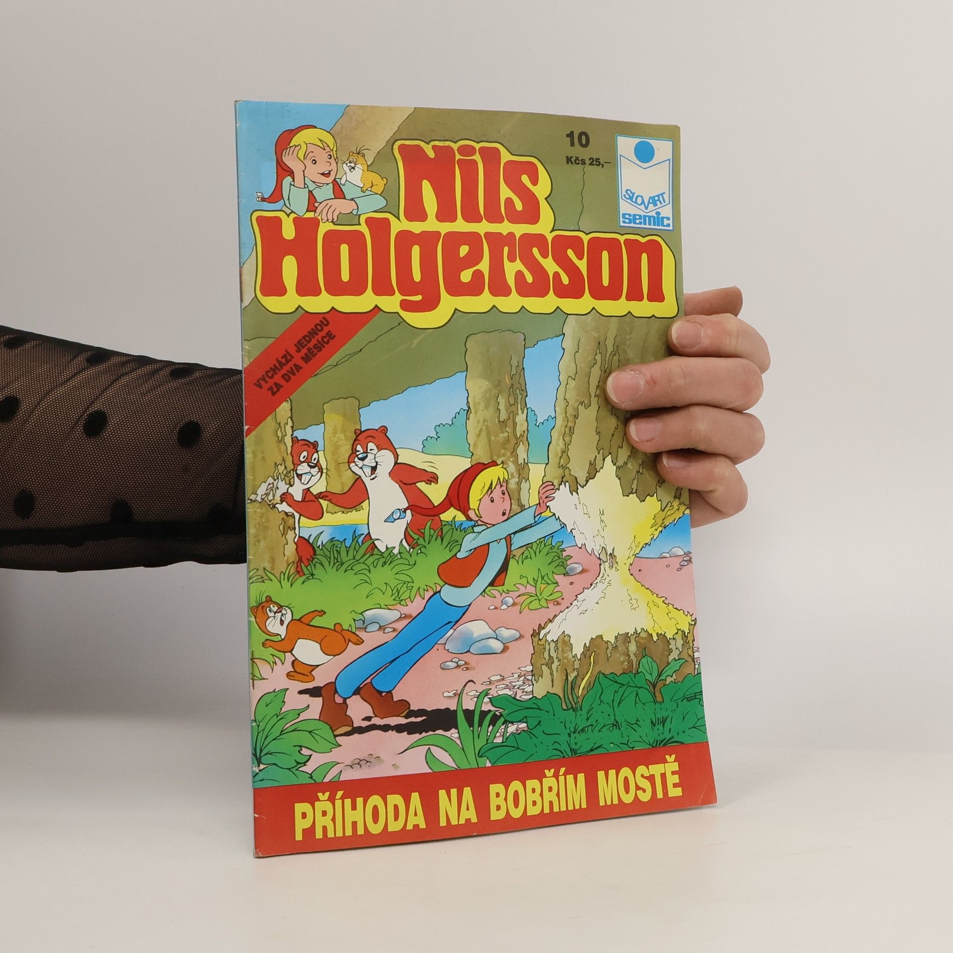 Autores varios Nils Holgersson #10