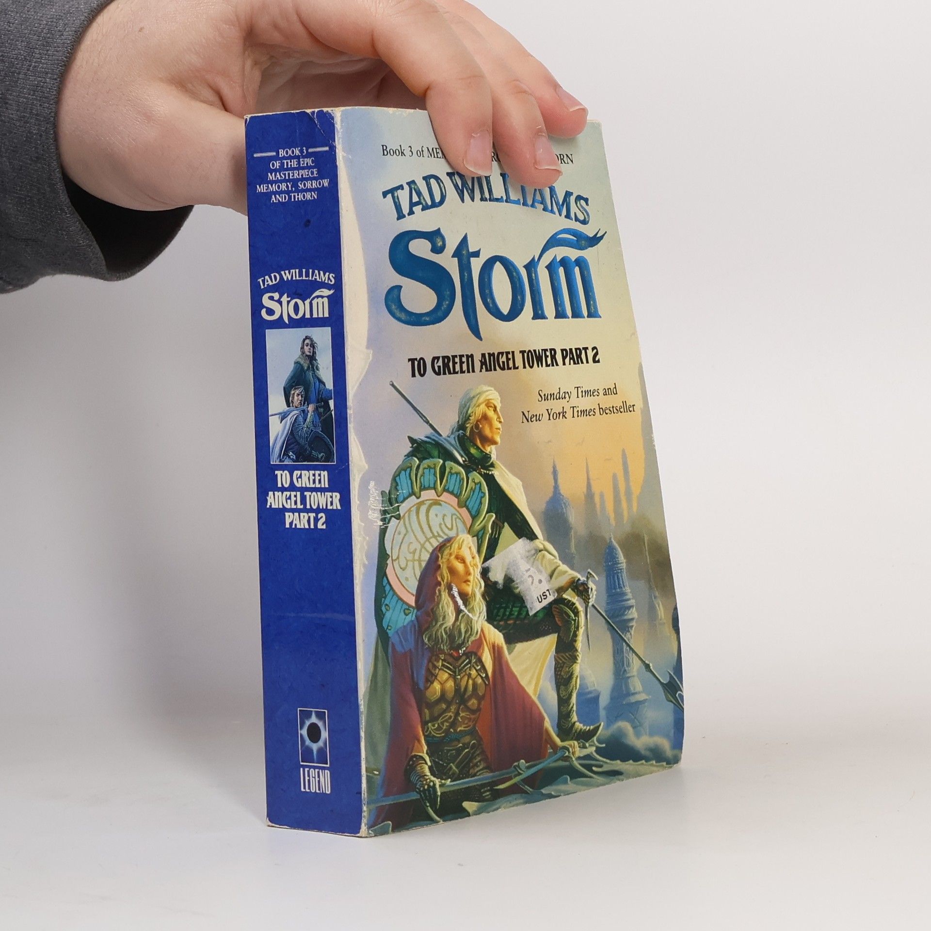 Memory, Sorrow and Thorn - 3: Storm