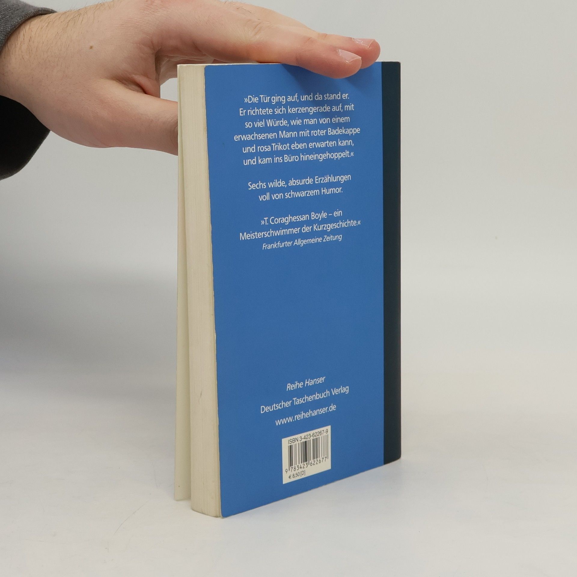 Tom Coraghessan Boyle Der Fliegenmensch und andere Stories