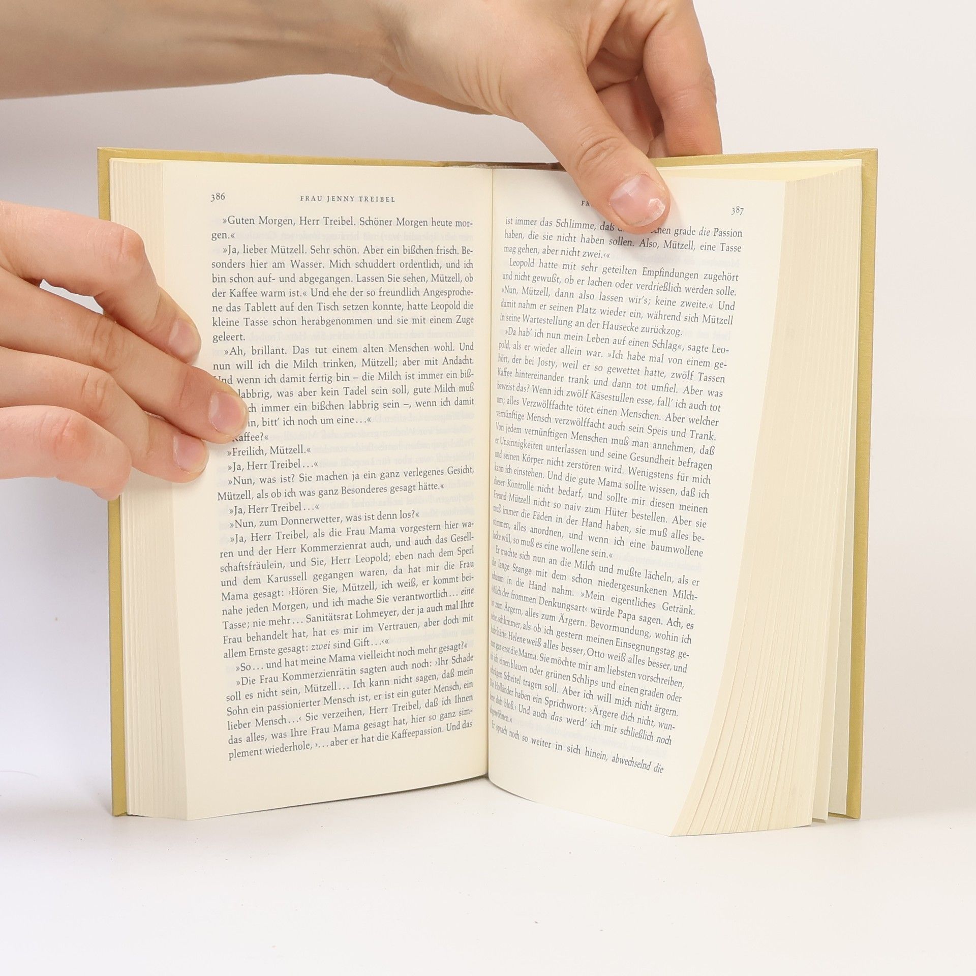 Theodor Fontane Werke, Schriften und Briefe I/4