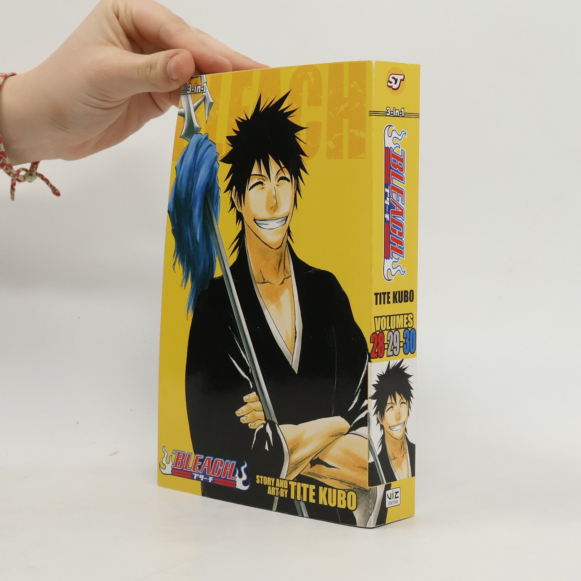 Bleach (3-in-1 Edition), Vol. 10