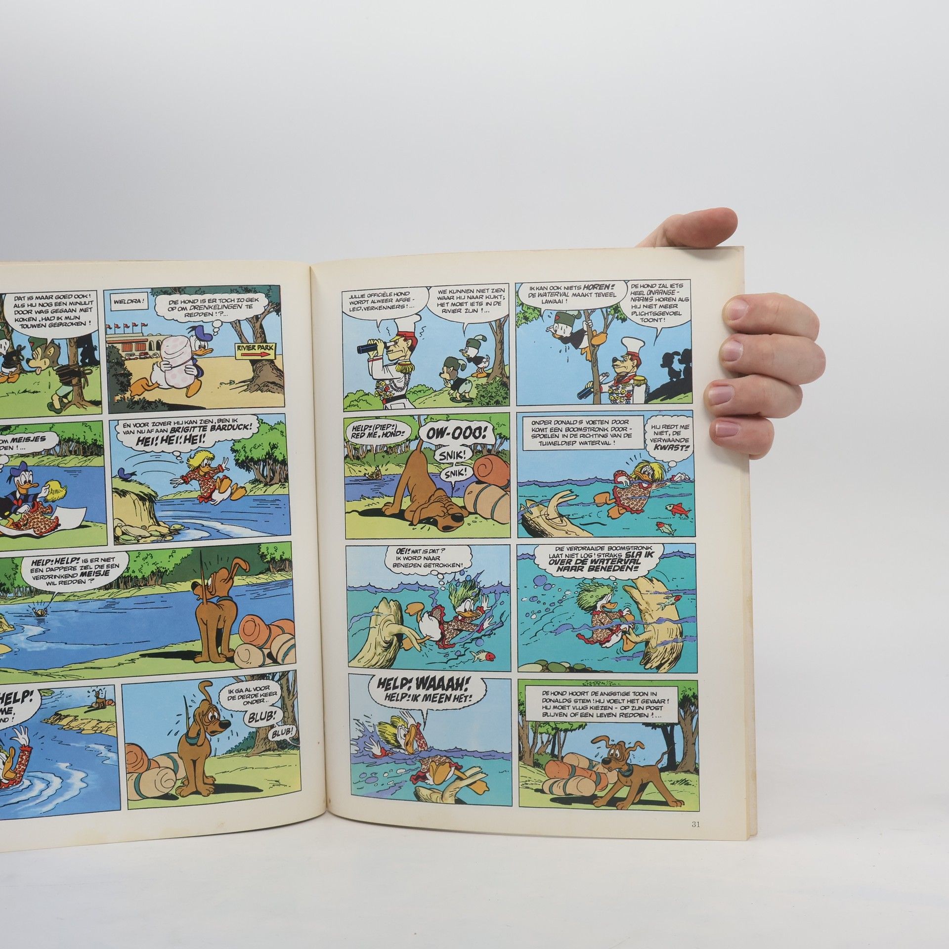 Donald Duck als kustwachter