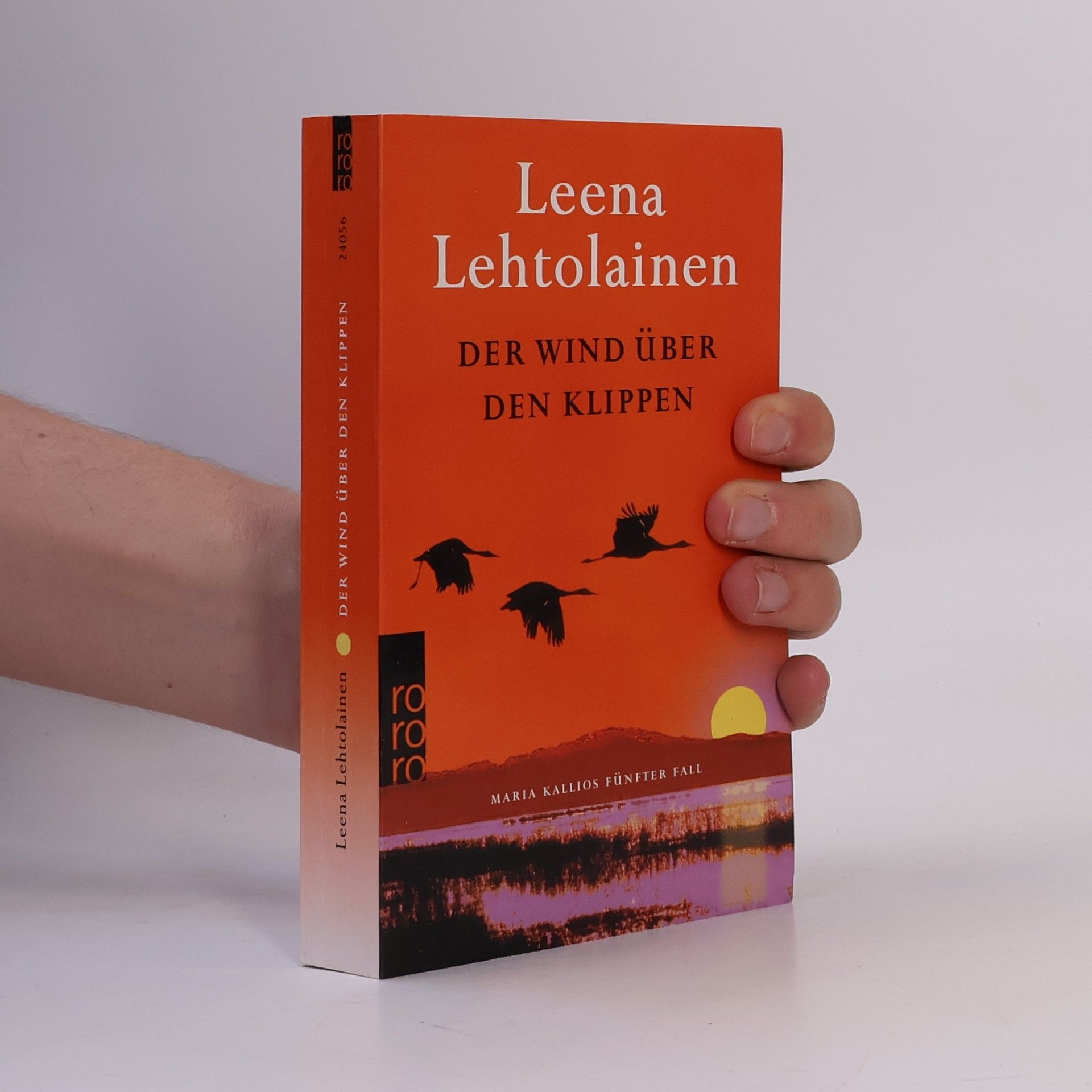 Der Wind über den Klippen
