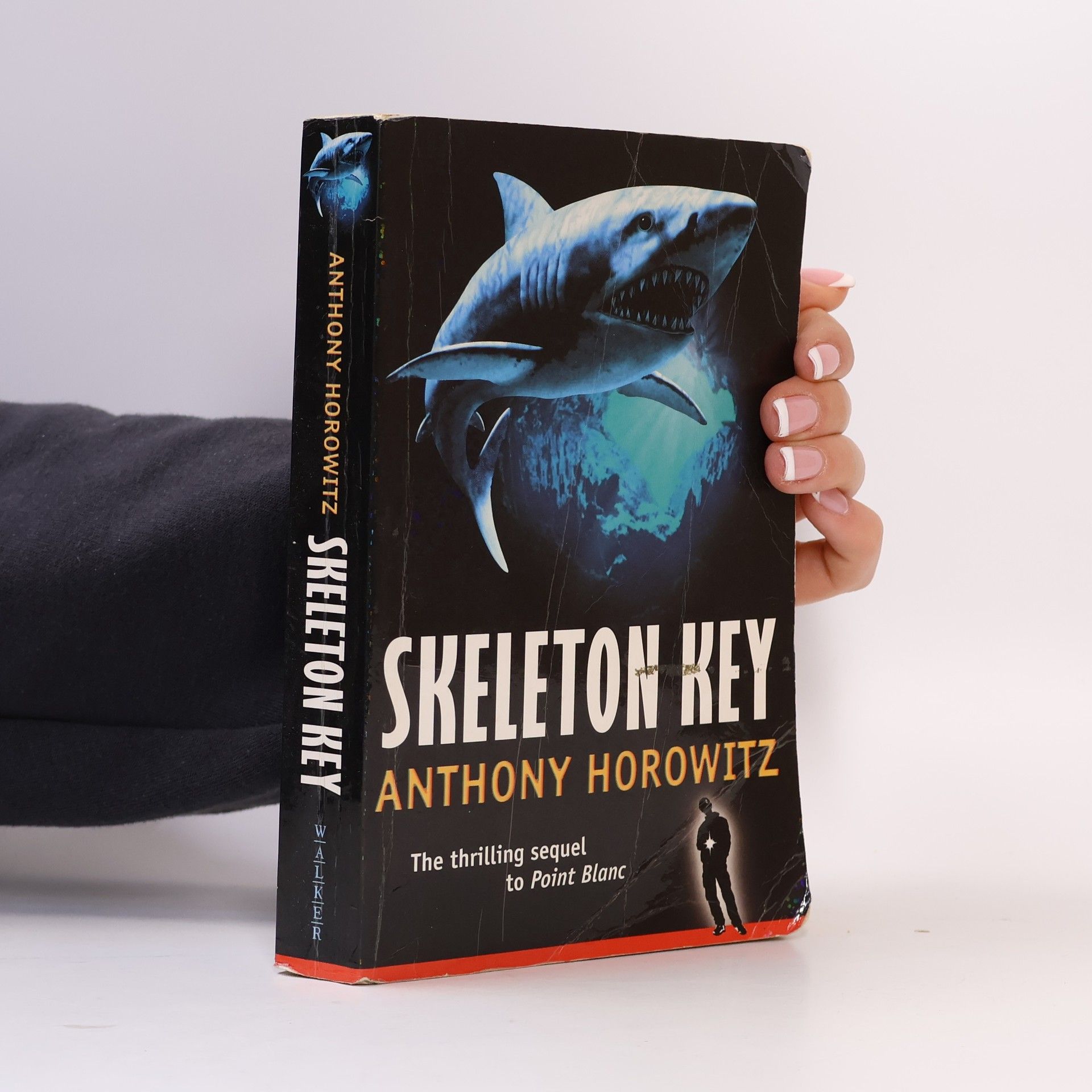 Anthony Horowitz Skeleton key