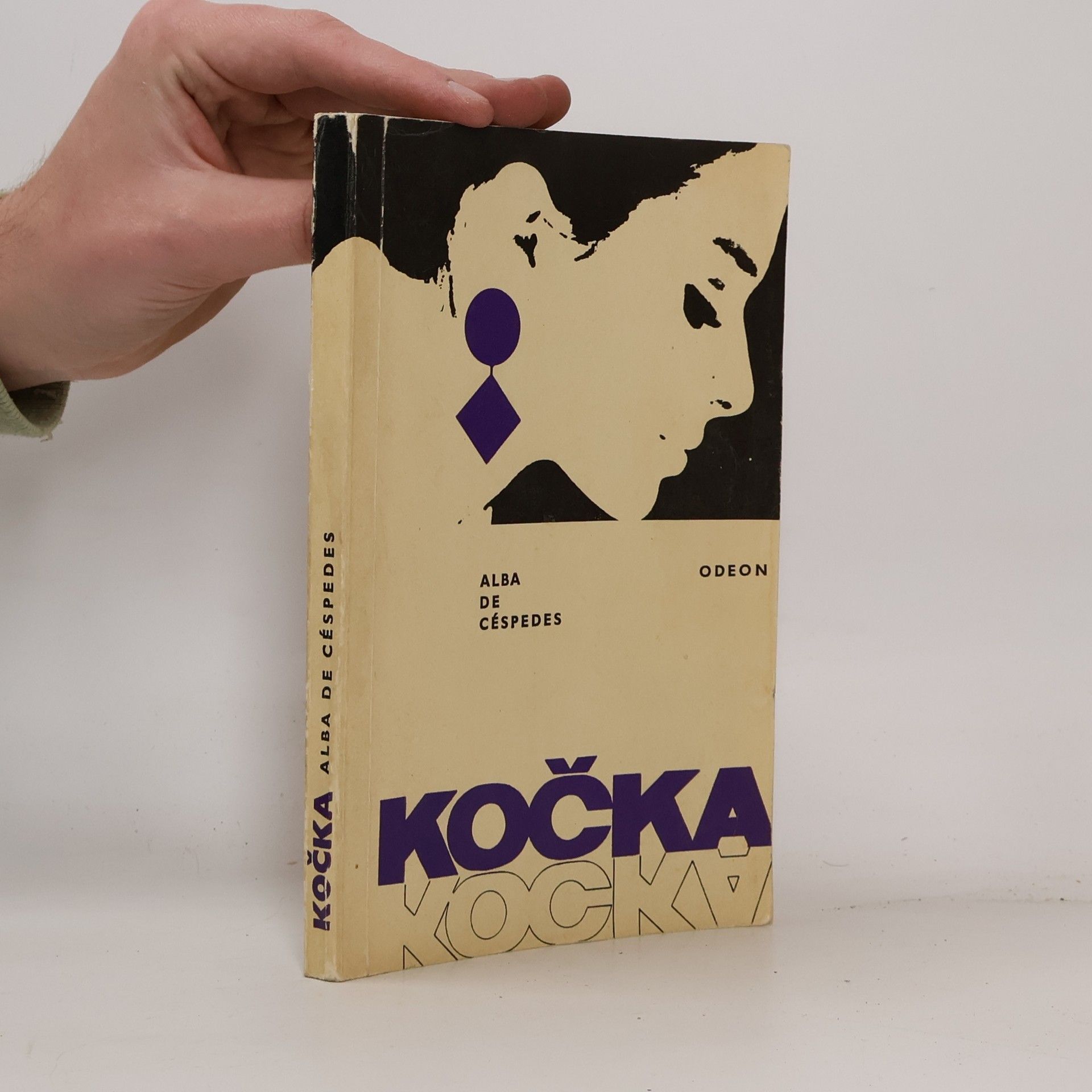 Kočka