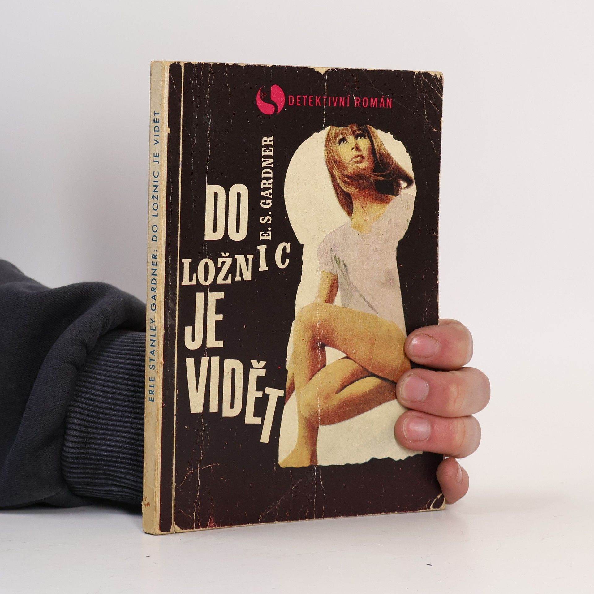Erle Stanley Gardner Do ložnic je vidět