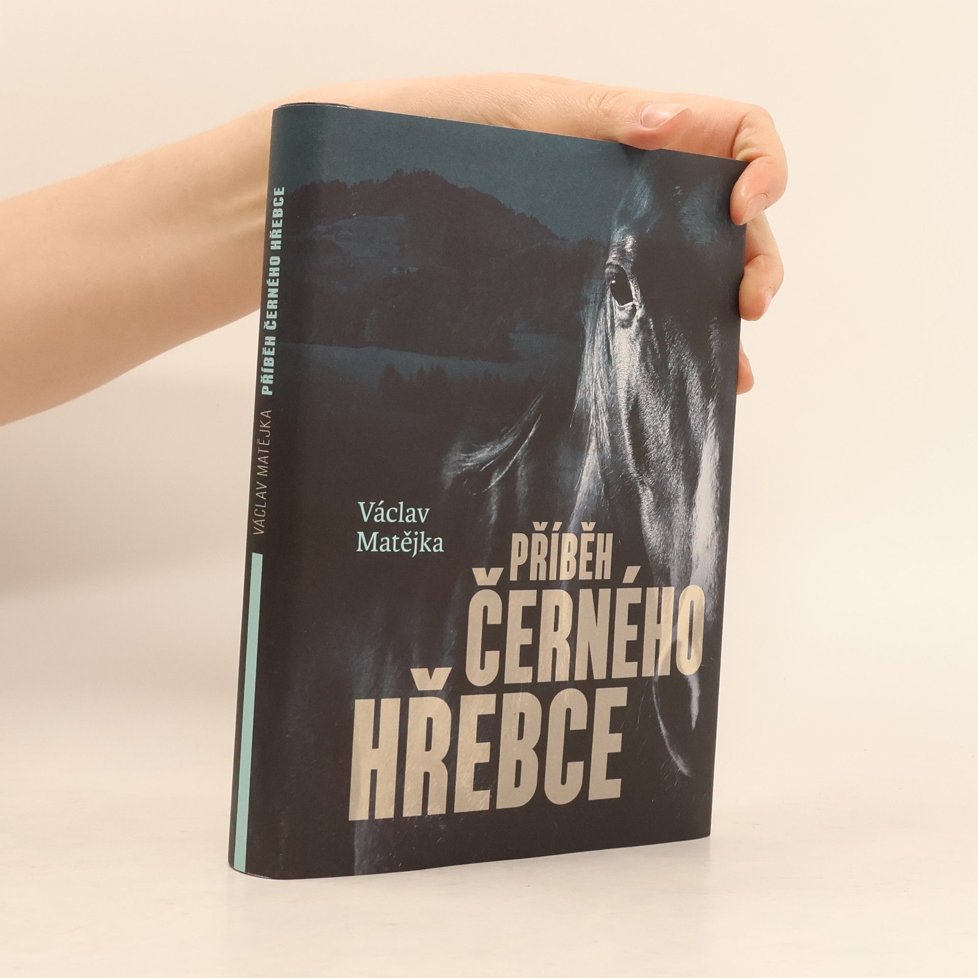 Příběh černého hřebce