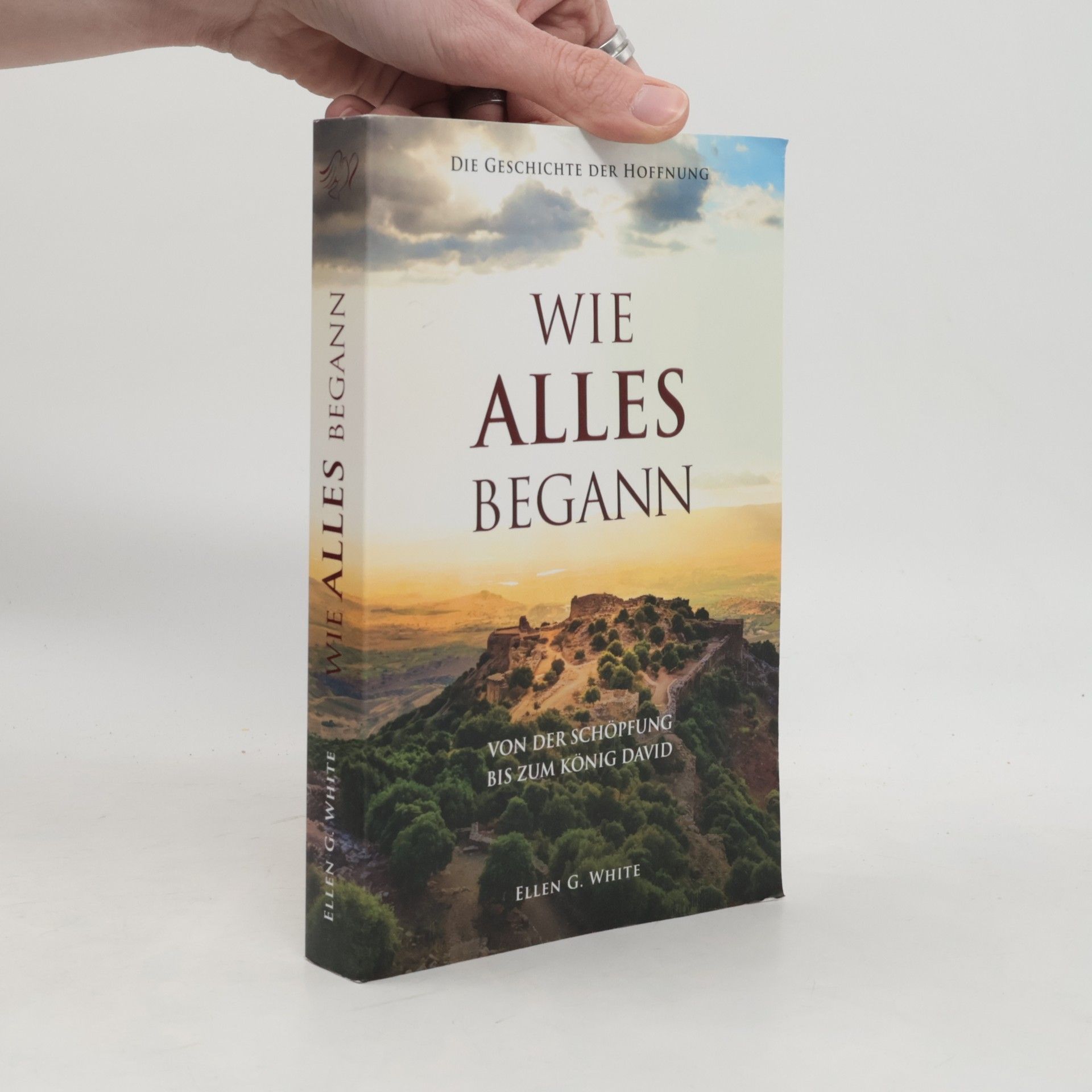 Wie alles begann