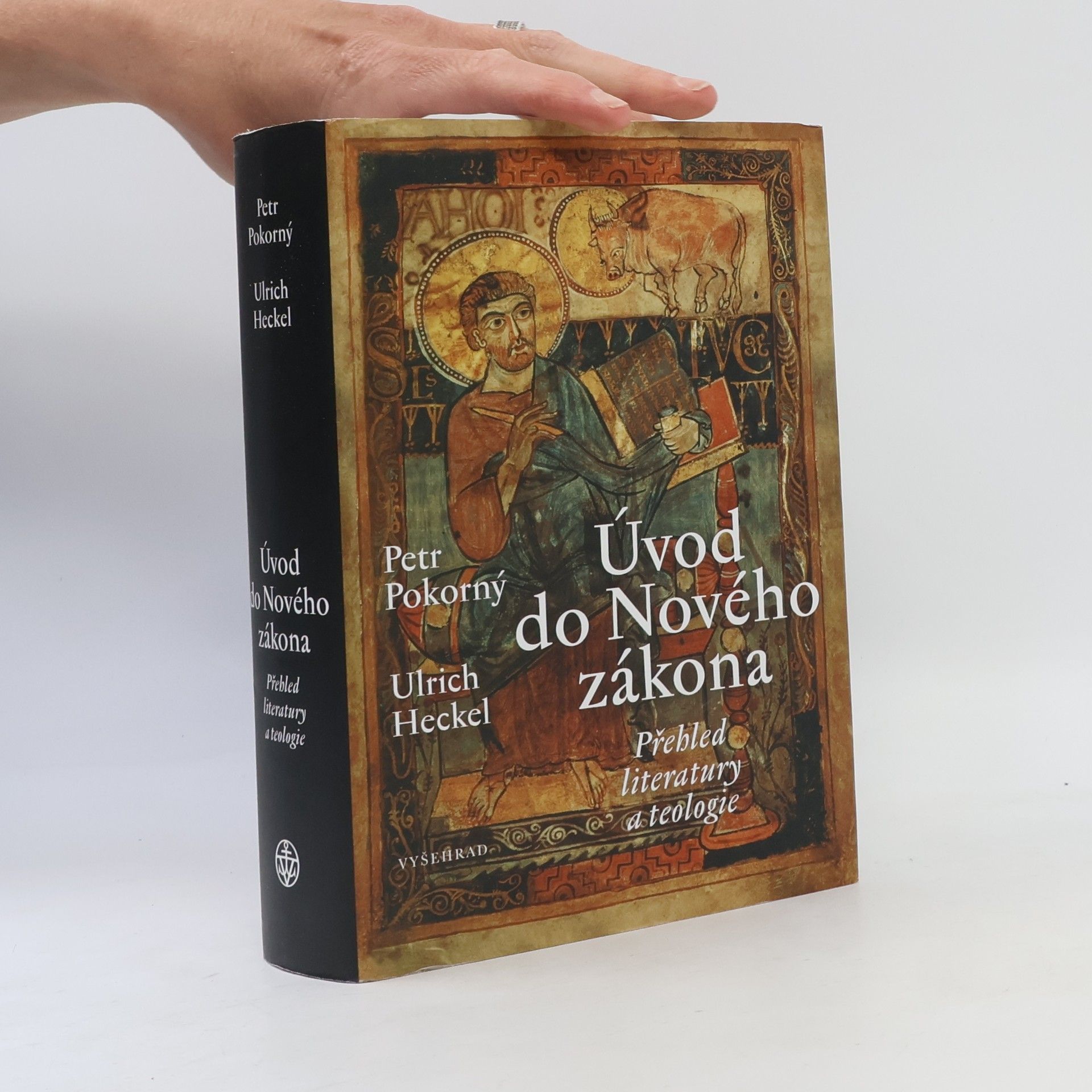Úvod do Nového zákona : přehled literatury a teologie