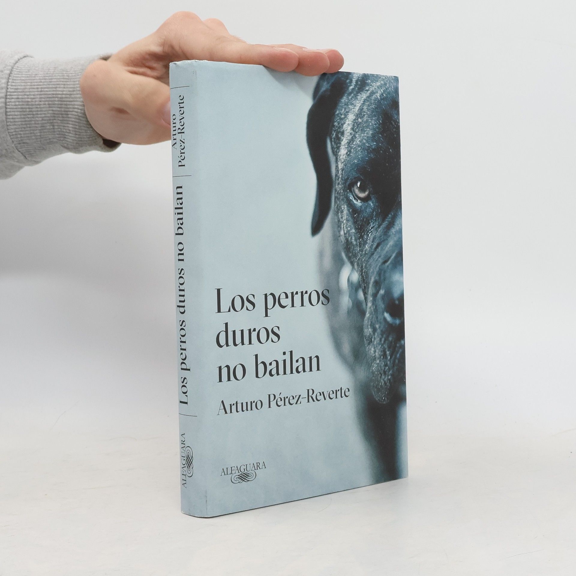 Arturo Pérez Reverte Los perros duros no bailan