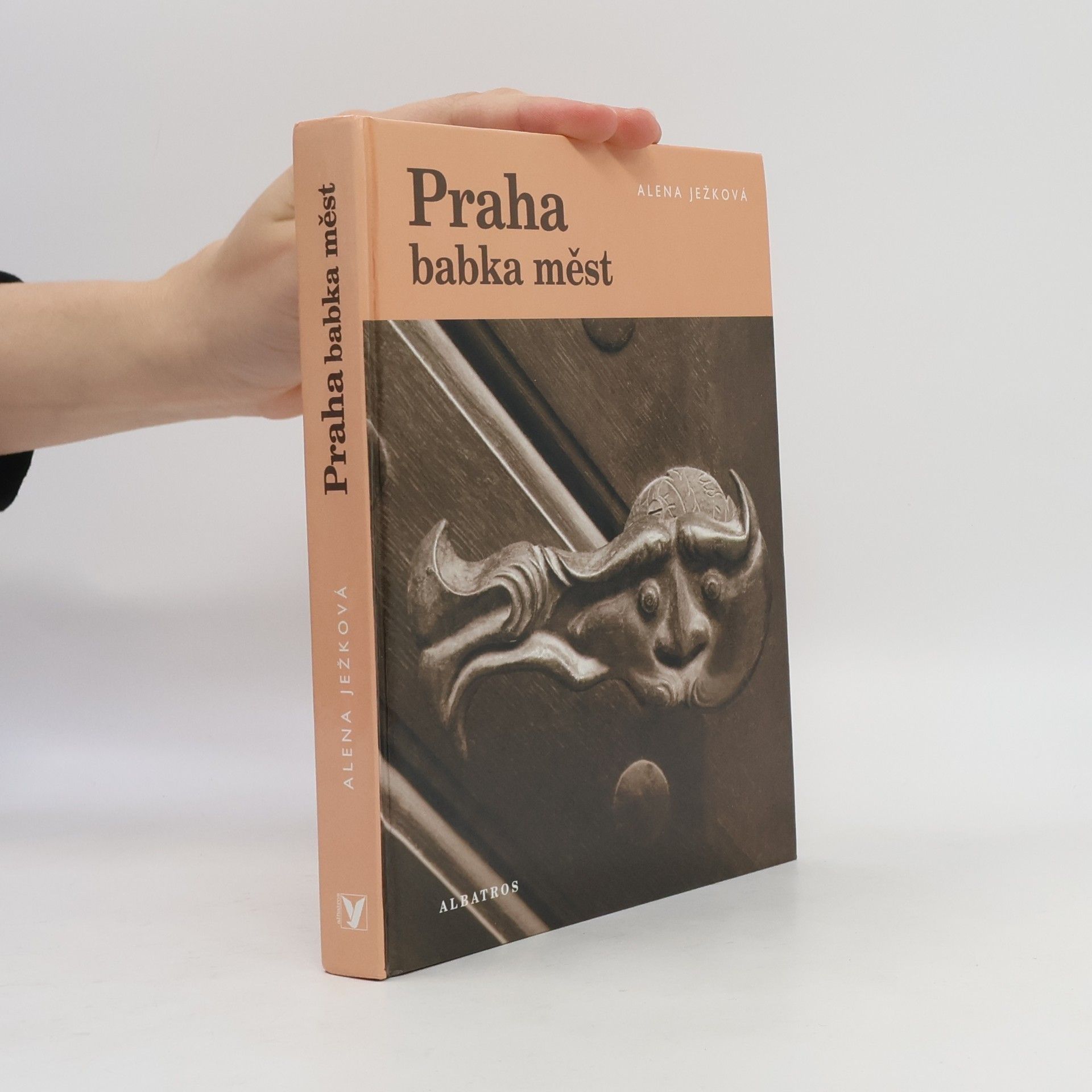 Praha babka měst