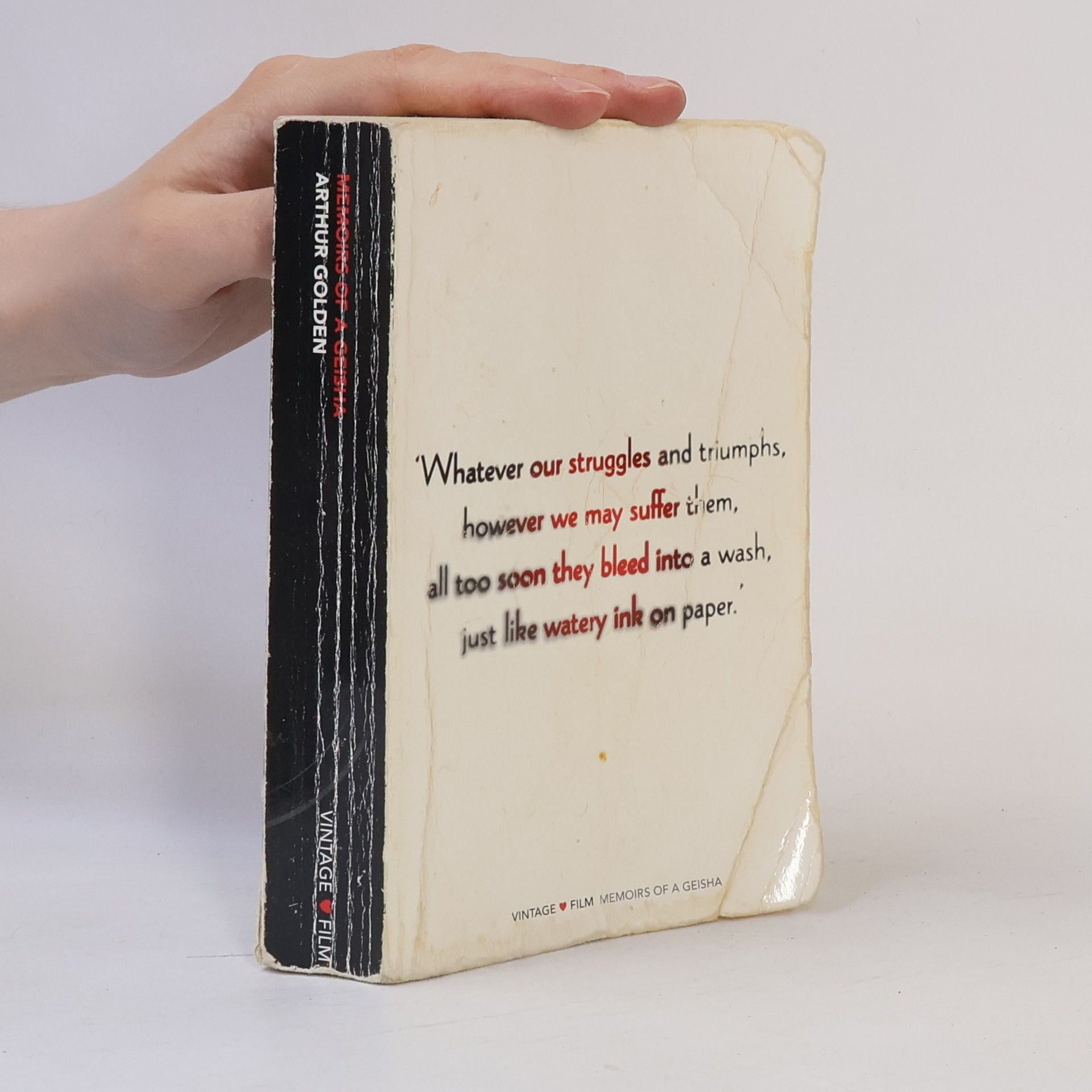 Arthur Golden Memoirs of a Geisha