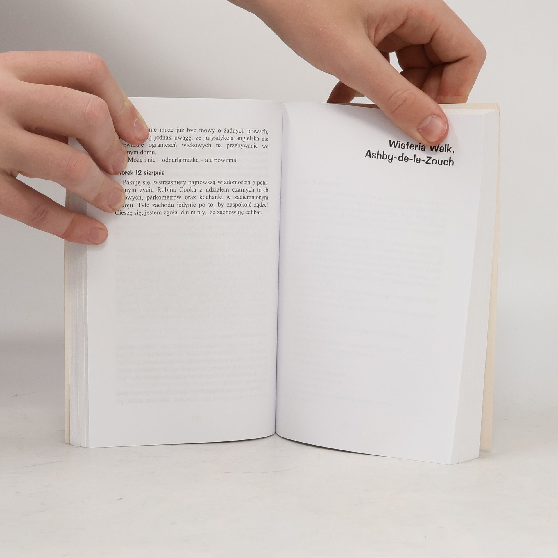 Sue Townsend Adrian Mole: Czas cappuccino