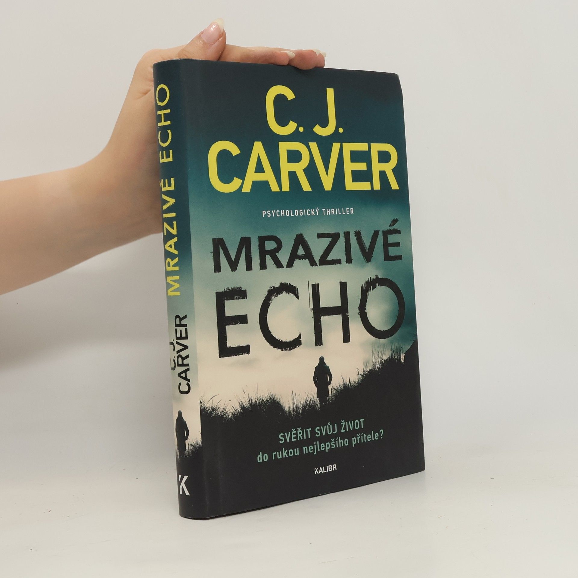 Mrazivé echo