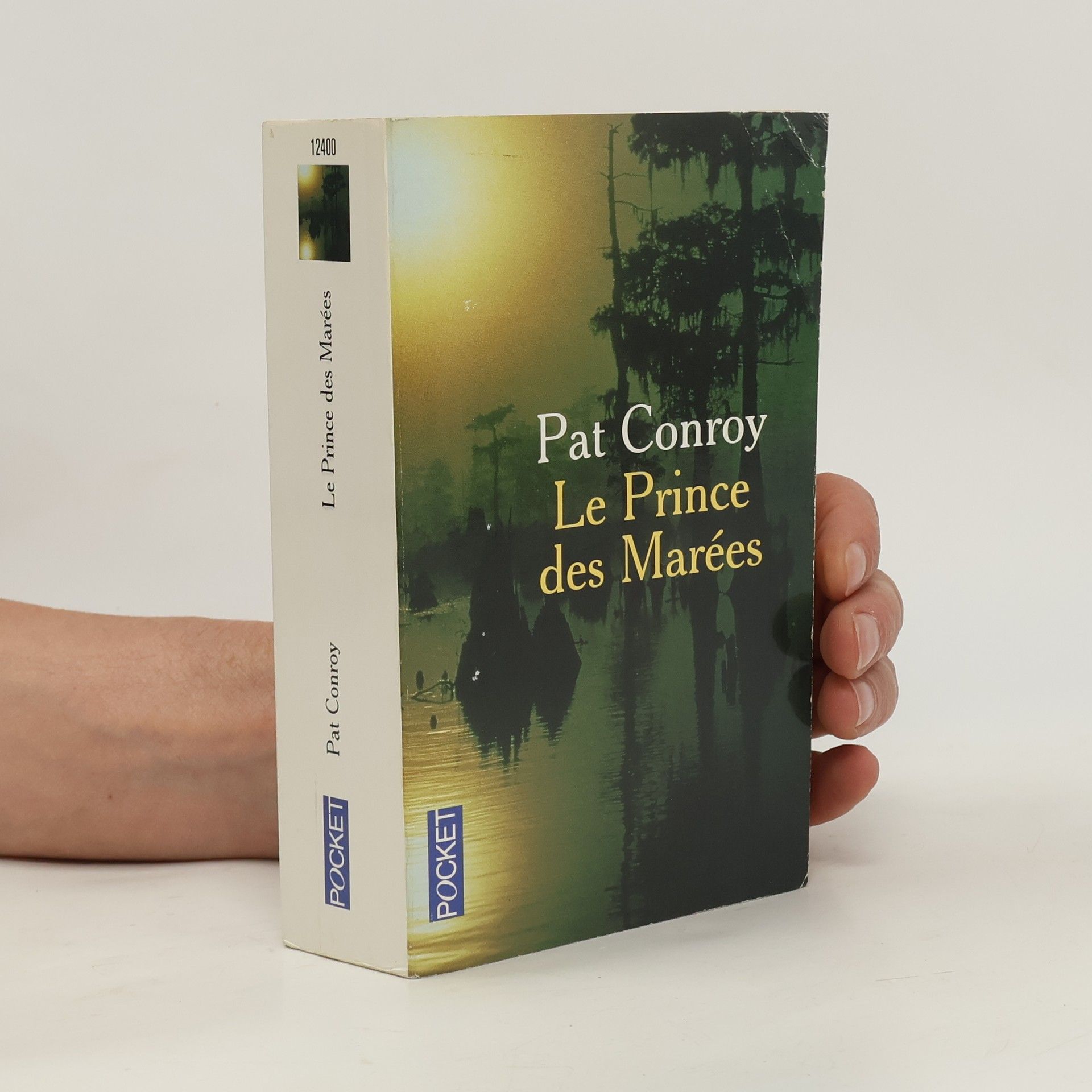Pat Conroy Le Prince des marées