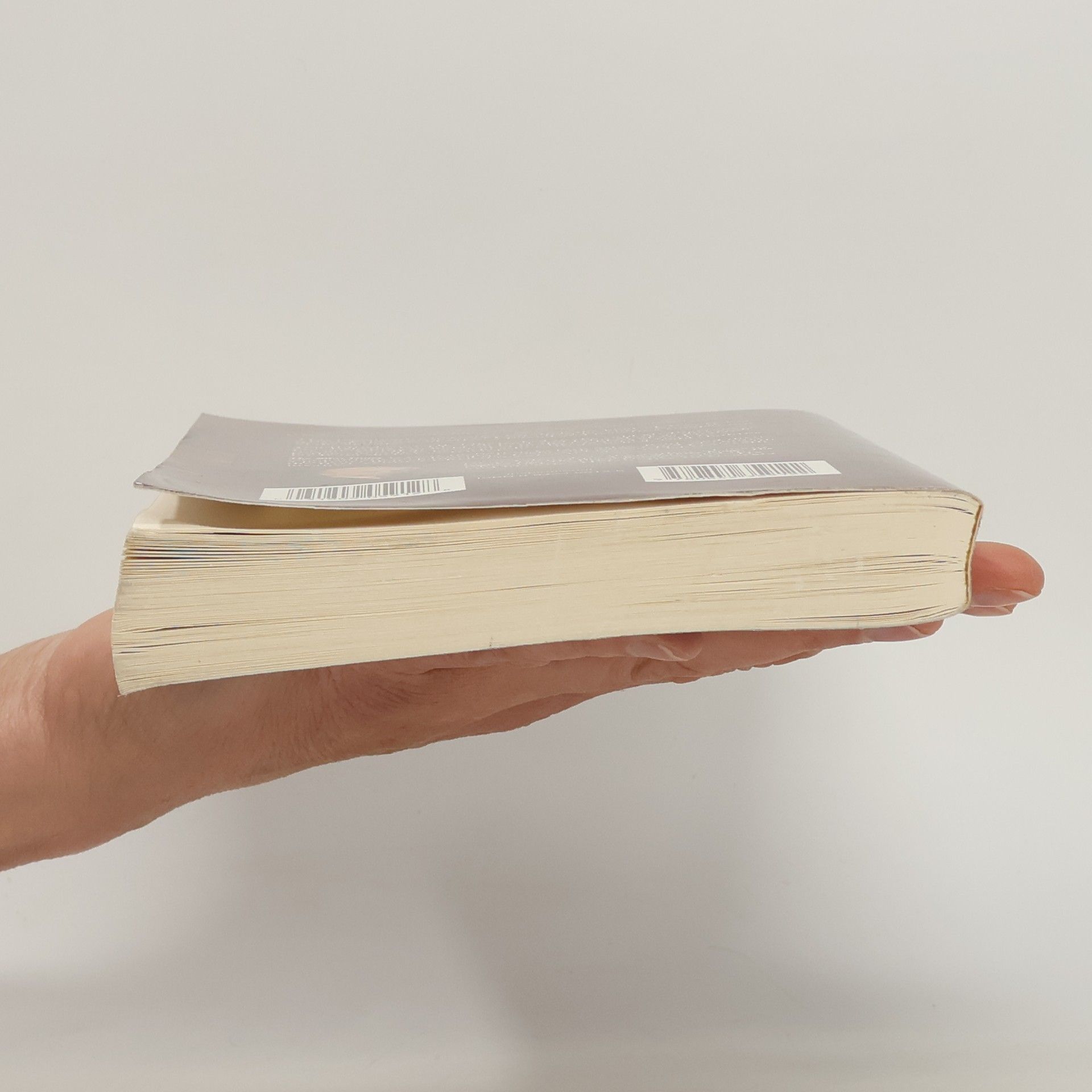 Gene Edwards First-Century Diaries: The Silas Diary