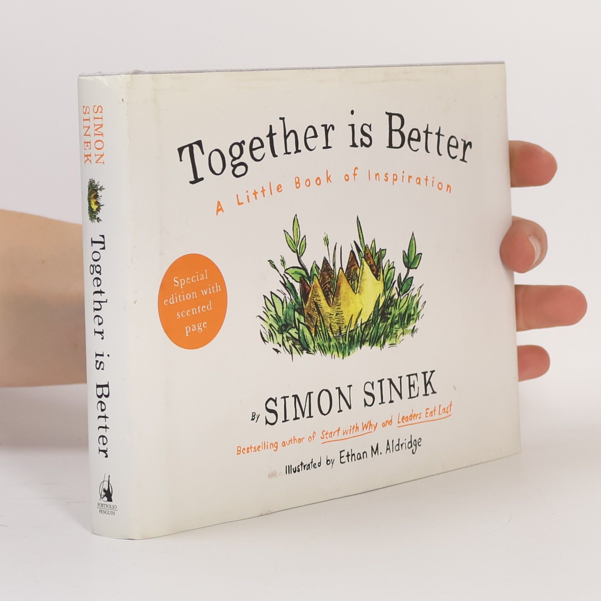 Simon Sinek Together Is Better