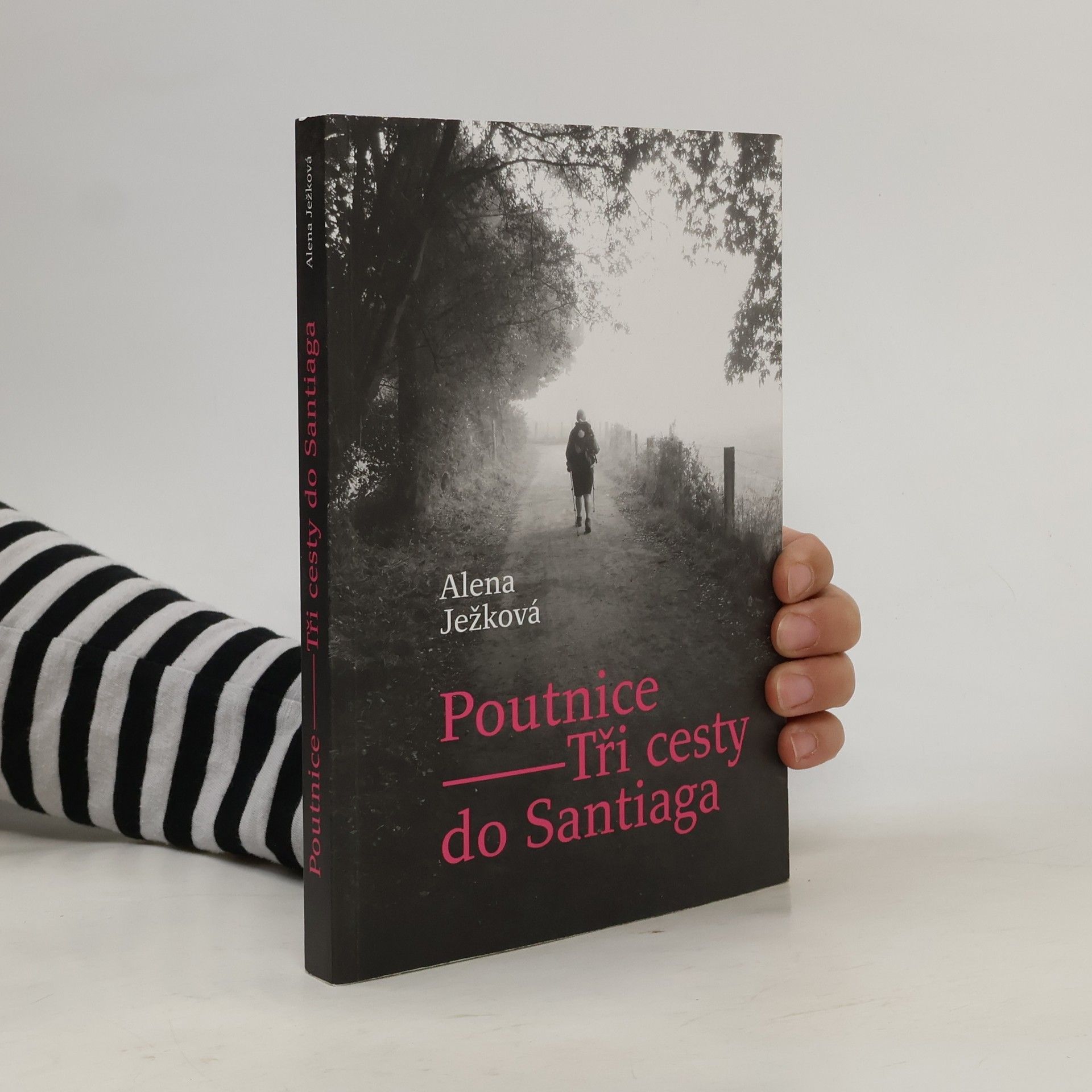 Poutnice: Tři cesty do Santiaga