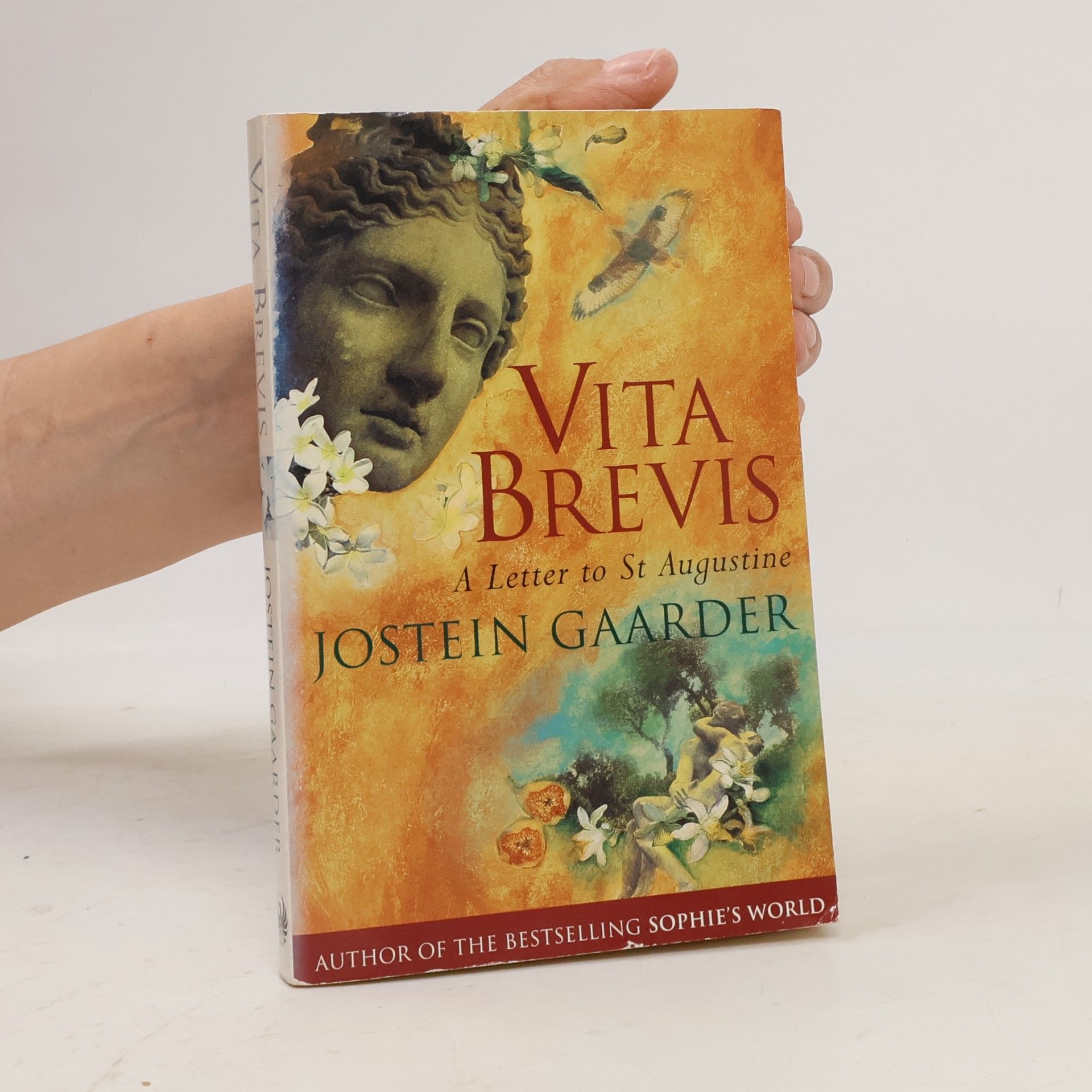 Vita brevis: a letter to St Augustine