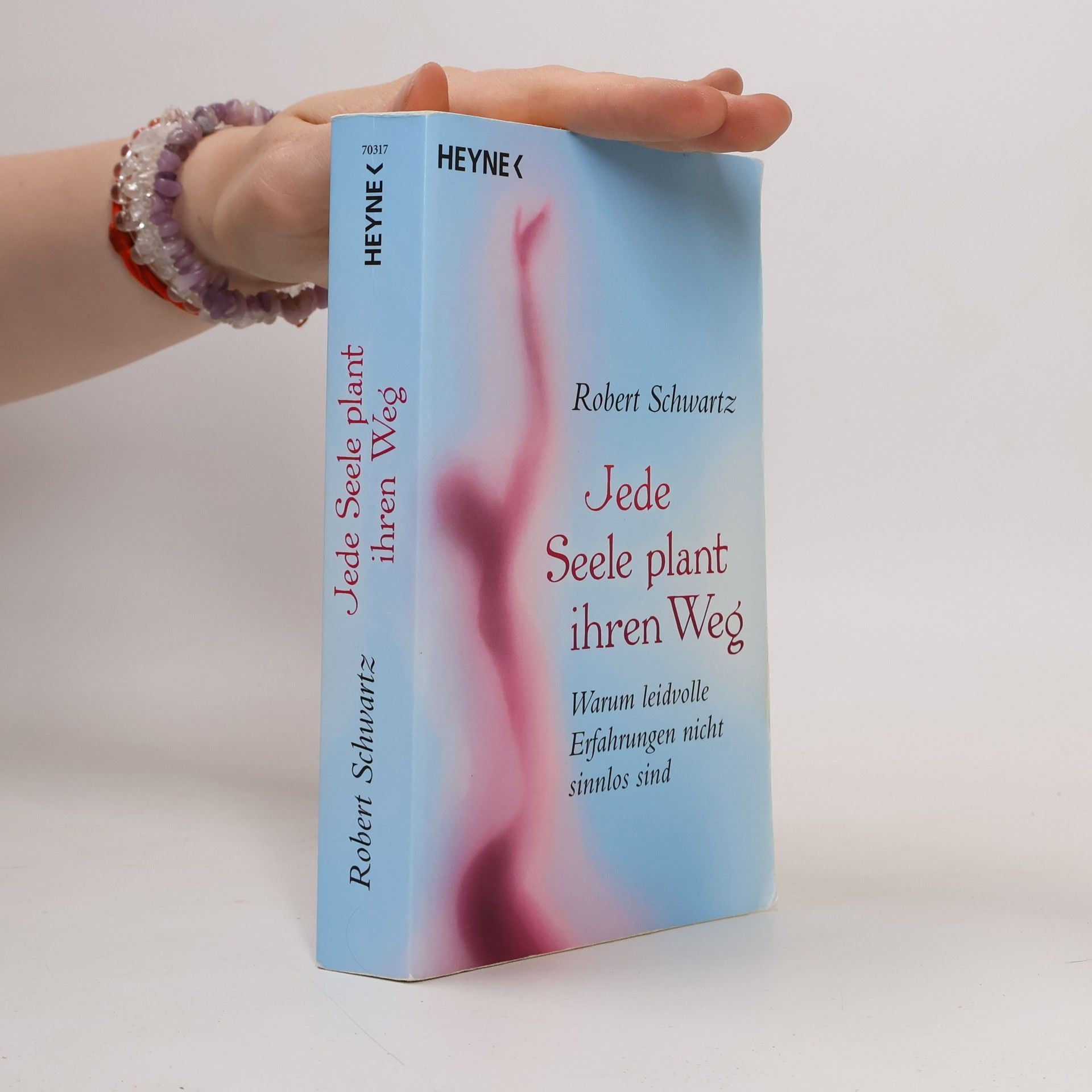 Robert Schwartz Jede Seele plant ihren Weg