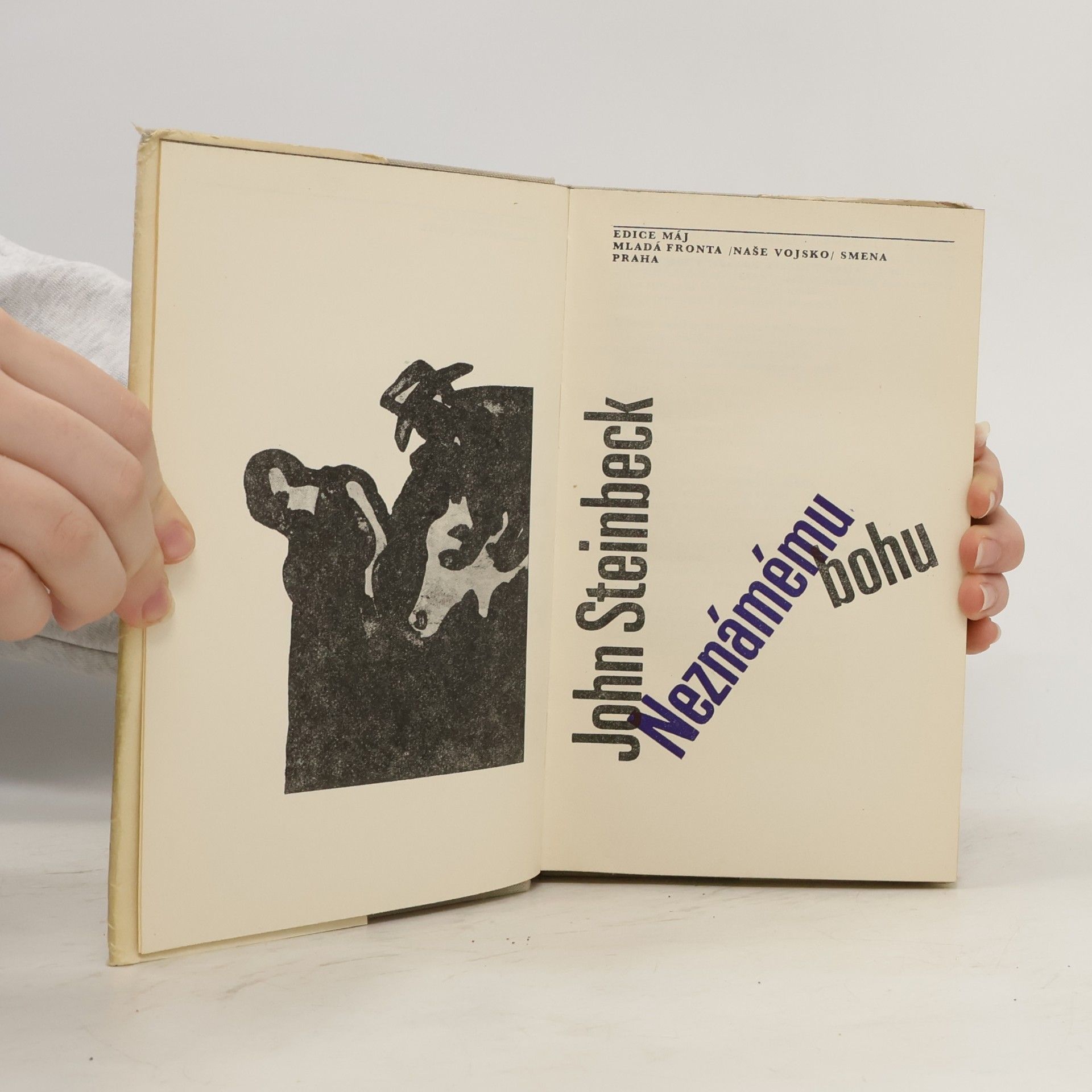 John Steinbeck Neznámému bohu