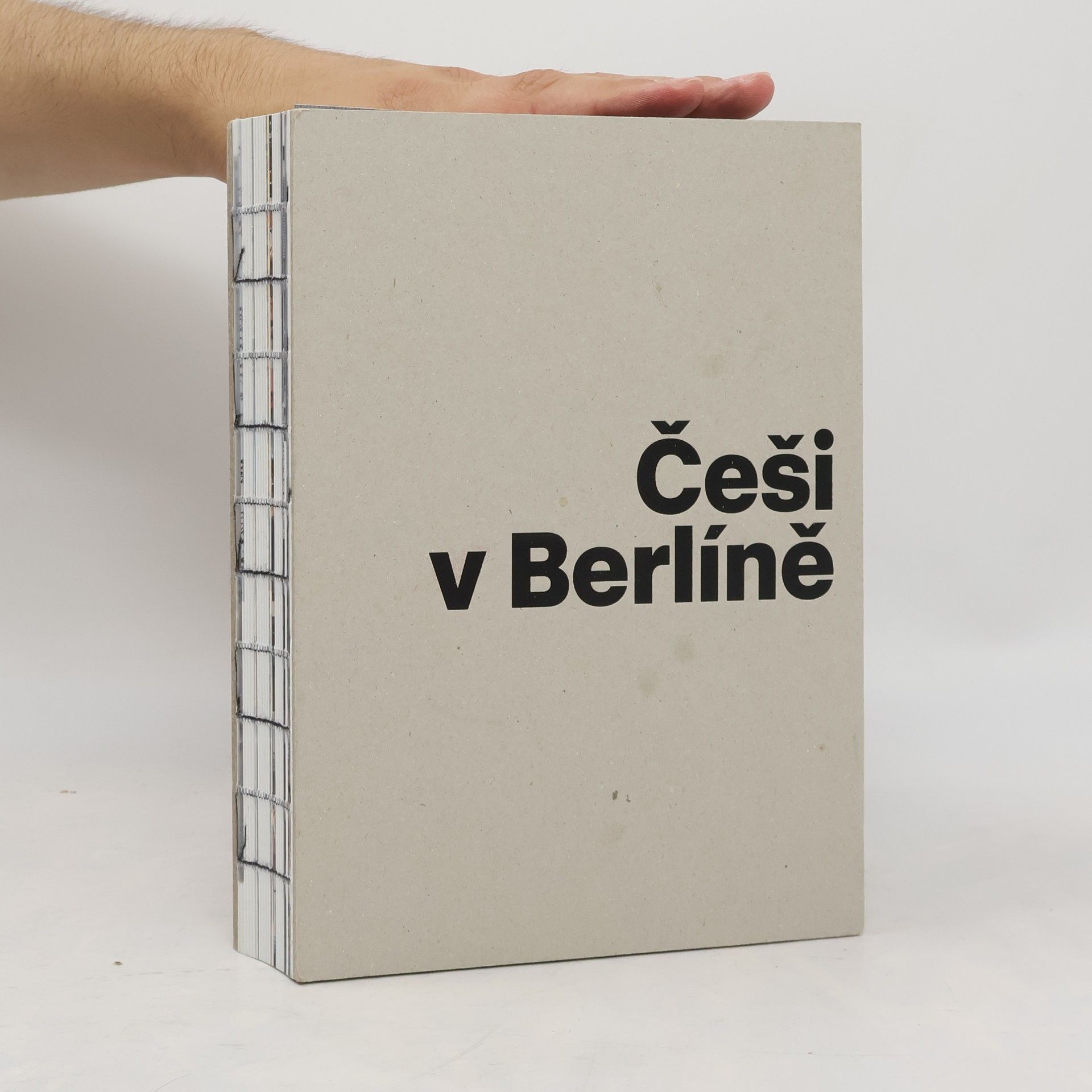 Češi v Berlíně: Život za hranicí