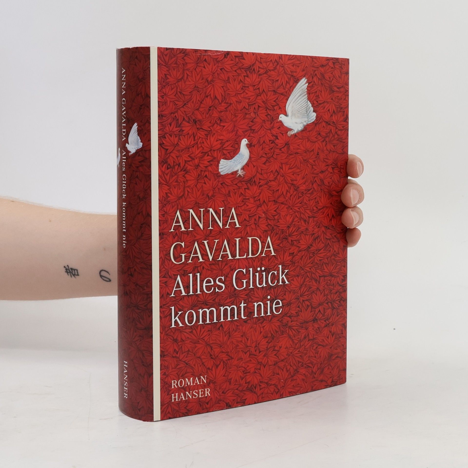 Anna Gavalda Alles Glück kommt nie