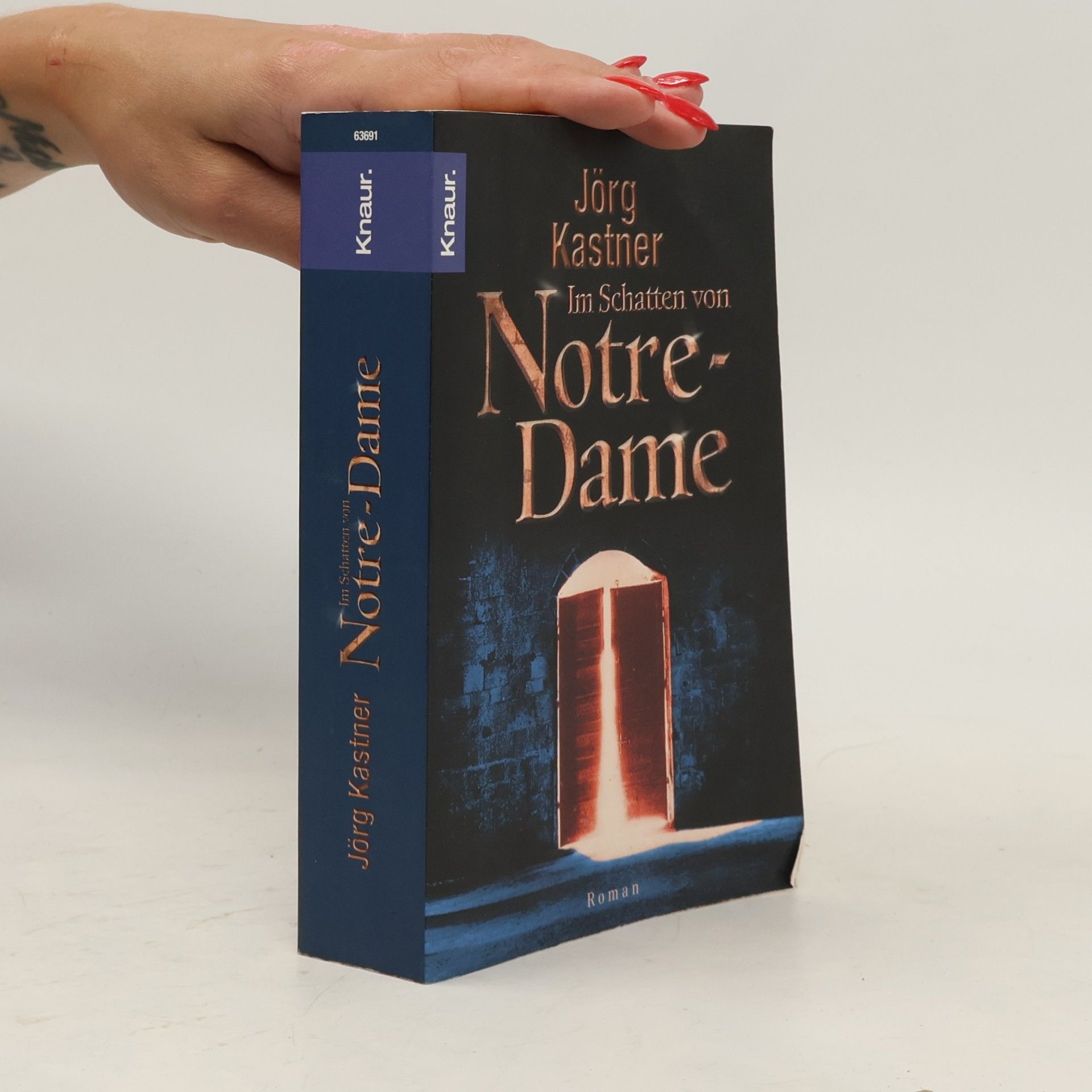 Im Schatten von Notre-Dame