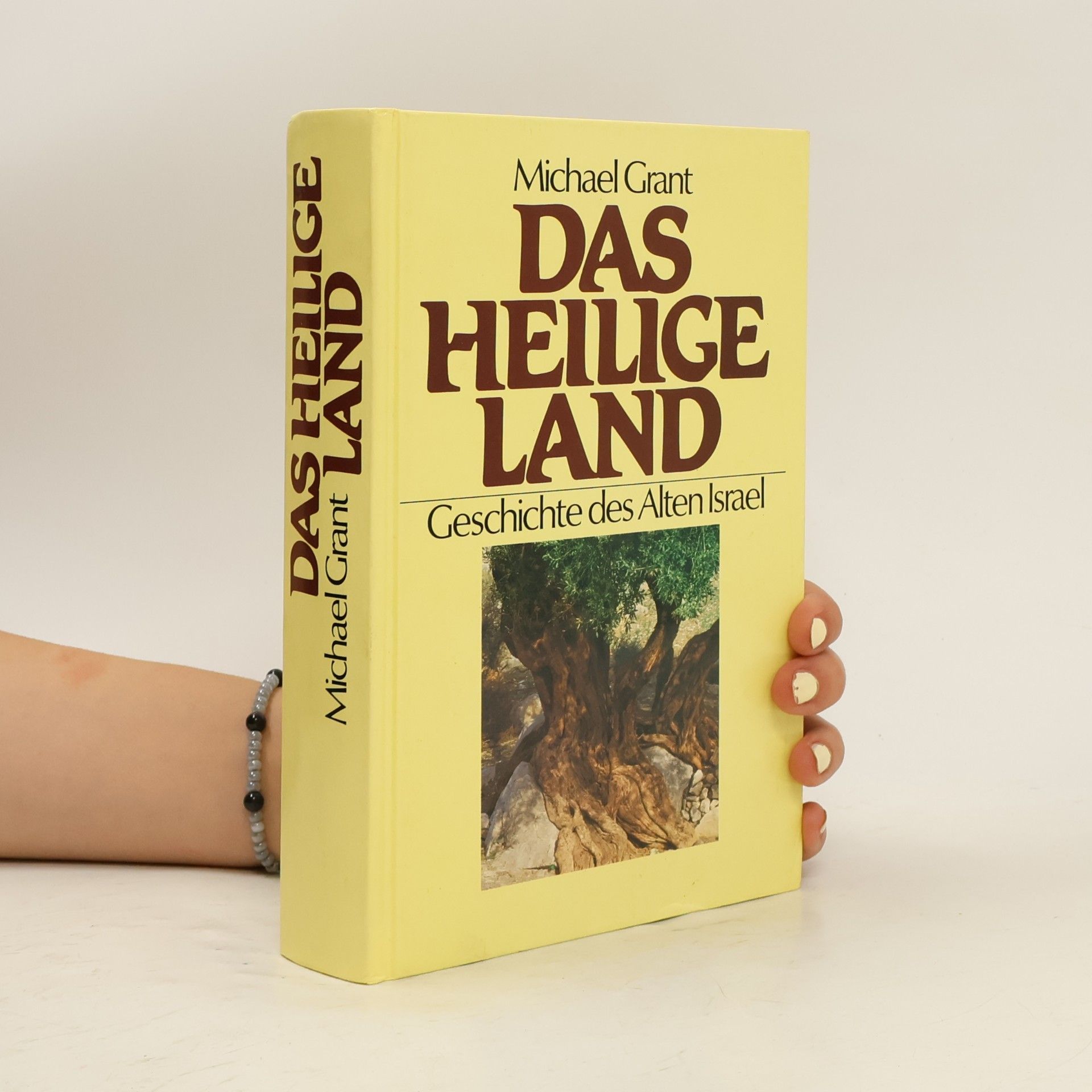 Das Heilige Land