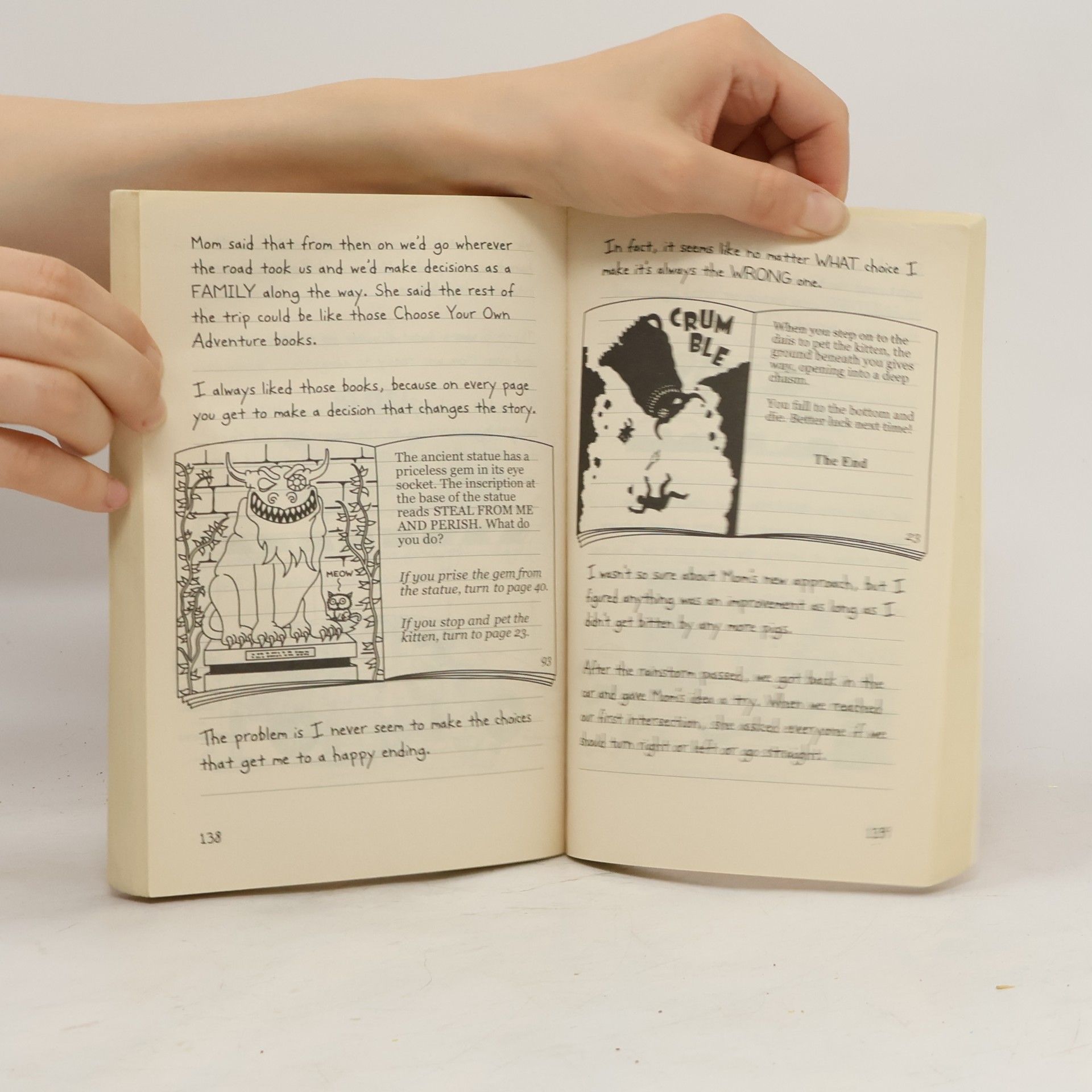 Jeff Kinney Diary of a Wimpy Kid: The Long Haul