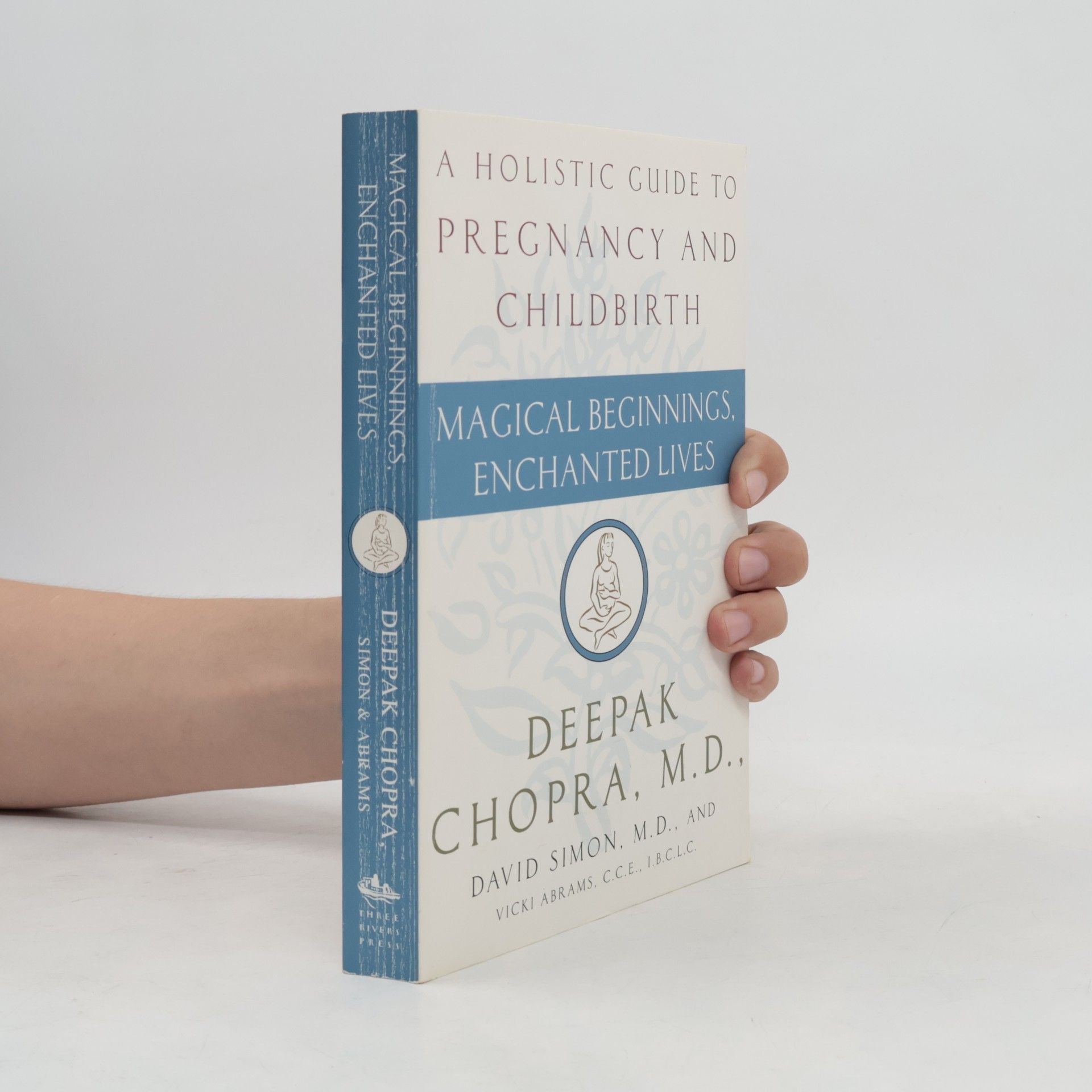 Magical Beginnings, Enchanted Lives: A Holistic Guide to Pregnancy and Childbirth