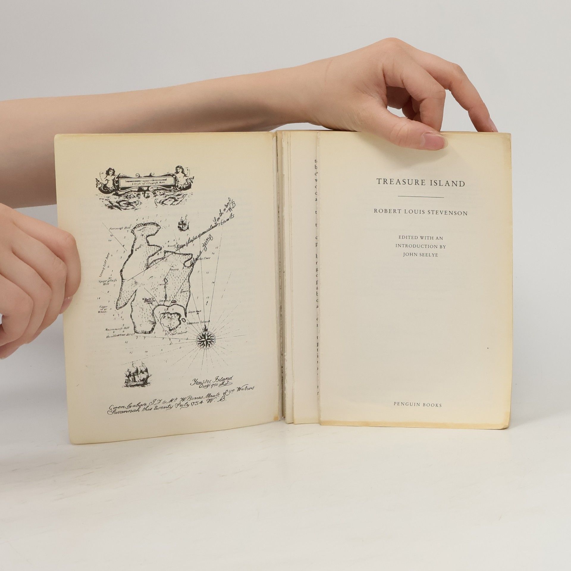 Robert Louis Stevenson Treasure Island. Die Schatzinsel, englische Ausgabe