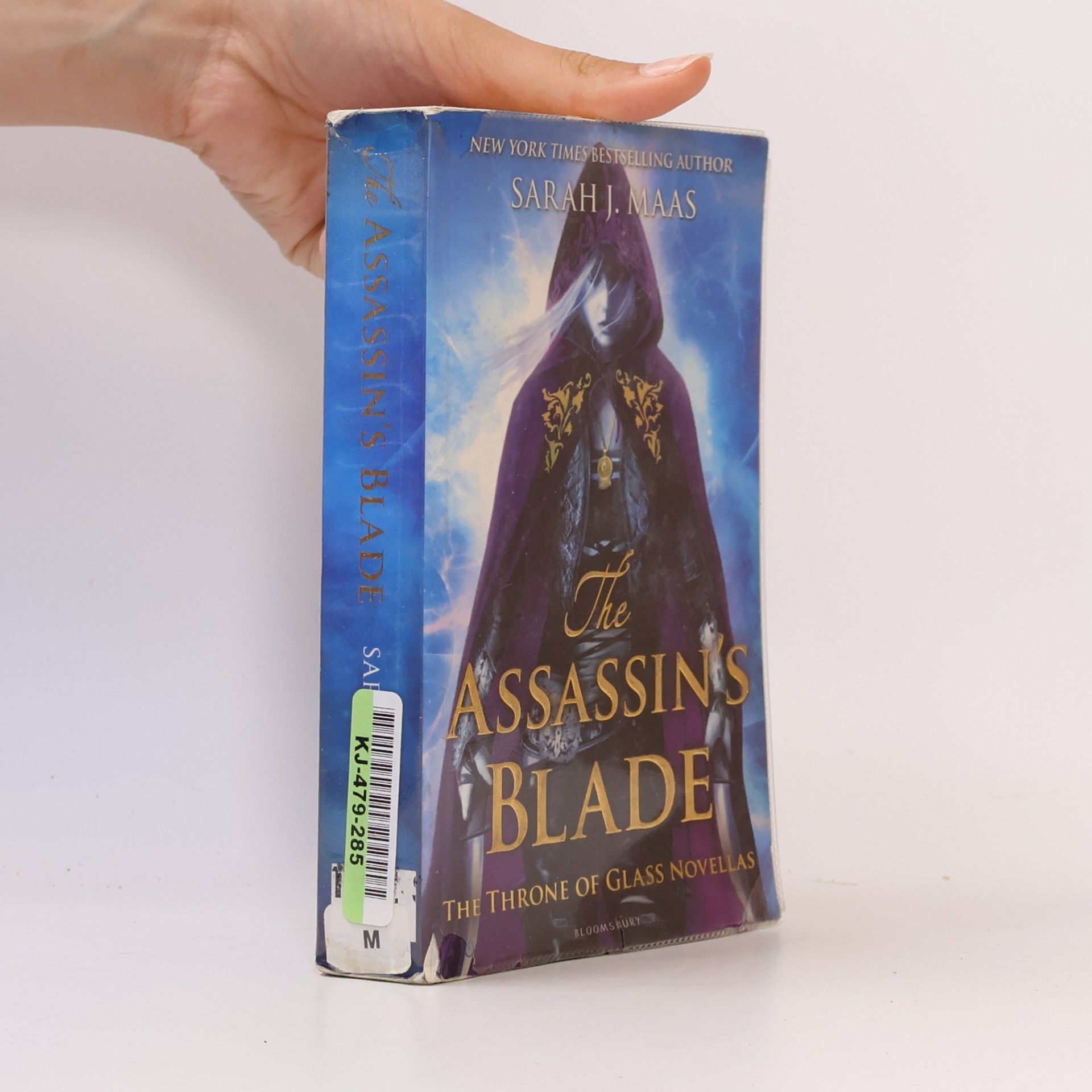 The Assassin's Blade