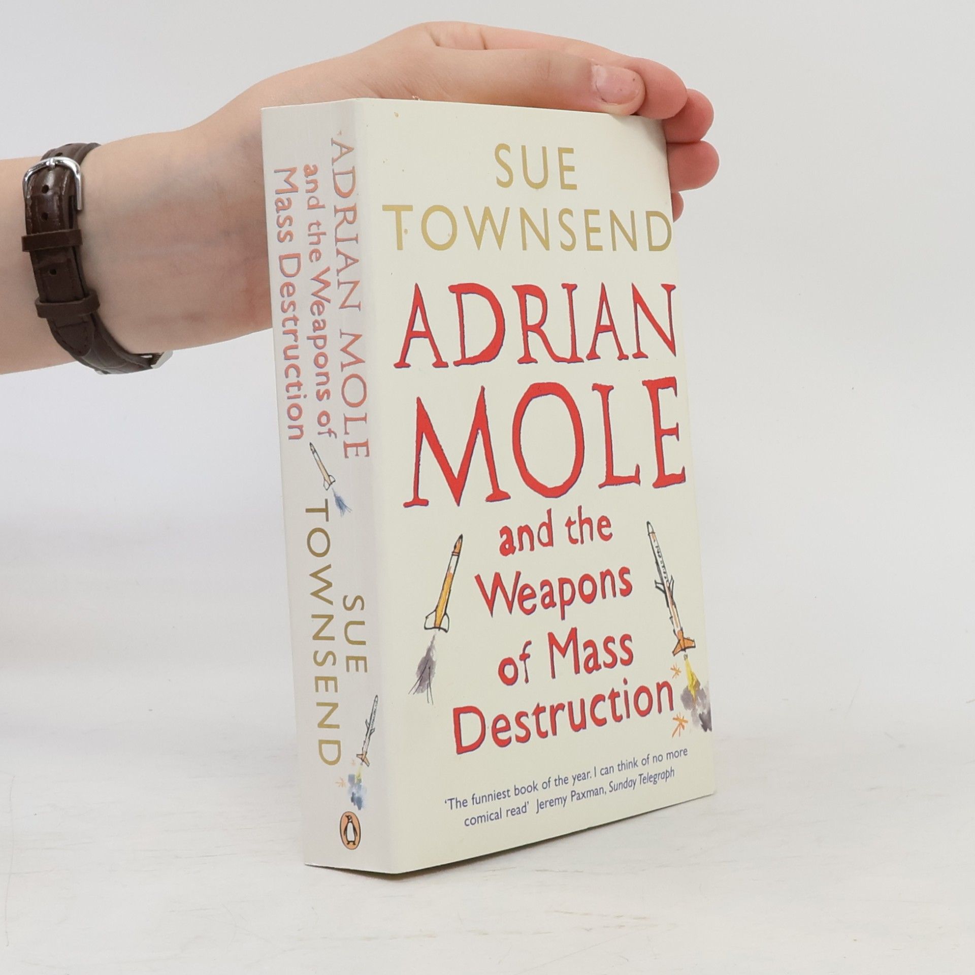 Sue Townsend Adrian Mole and the Weapons of Mass Destruction