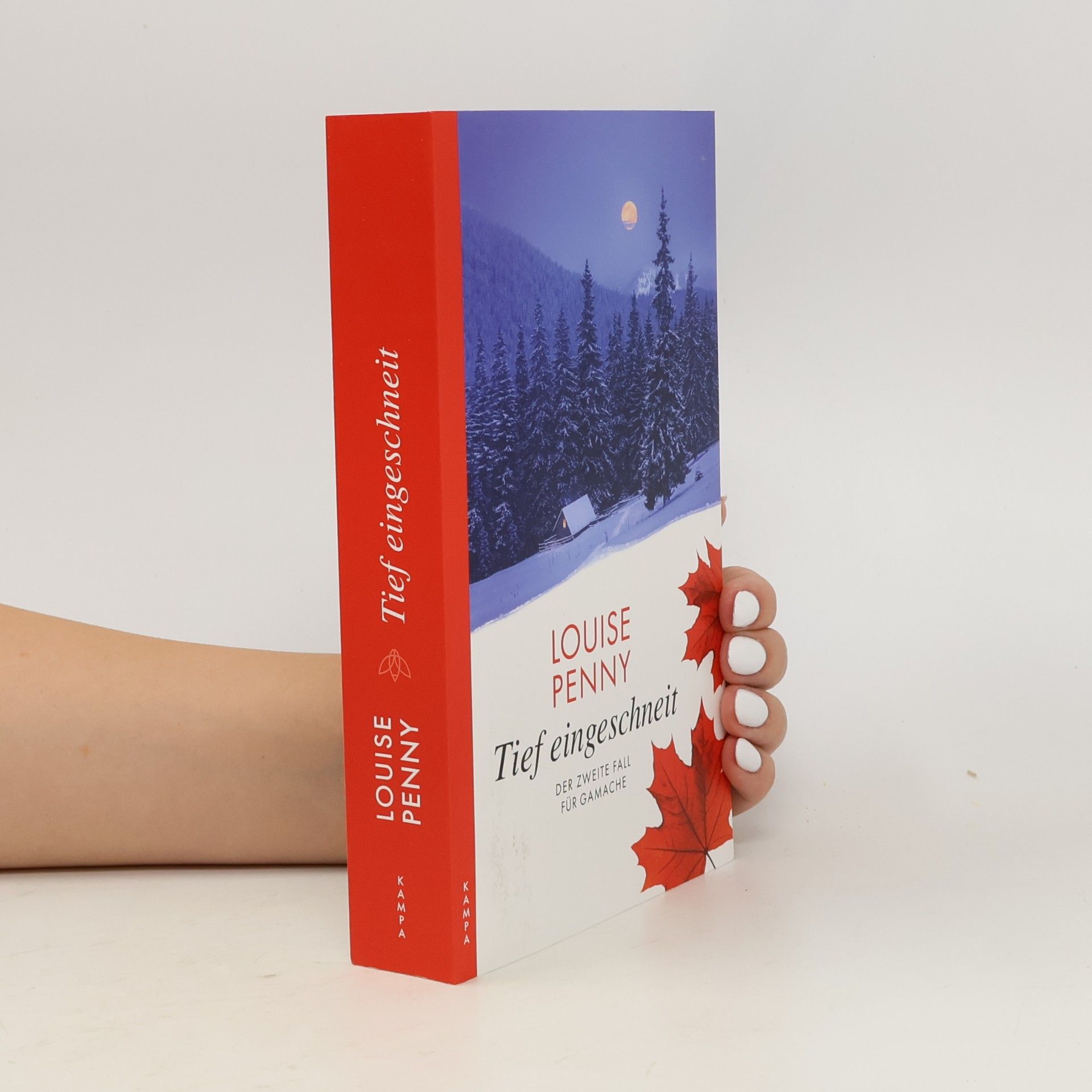 Louise Penny Tief eingeschneit