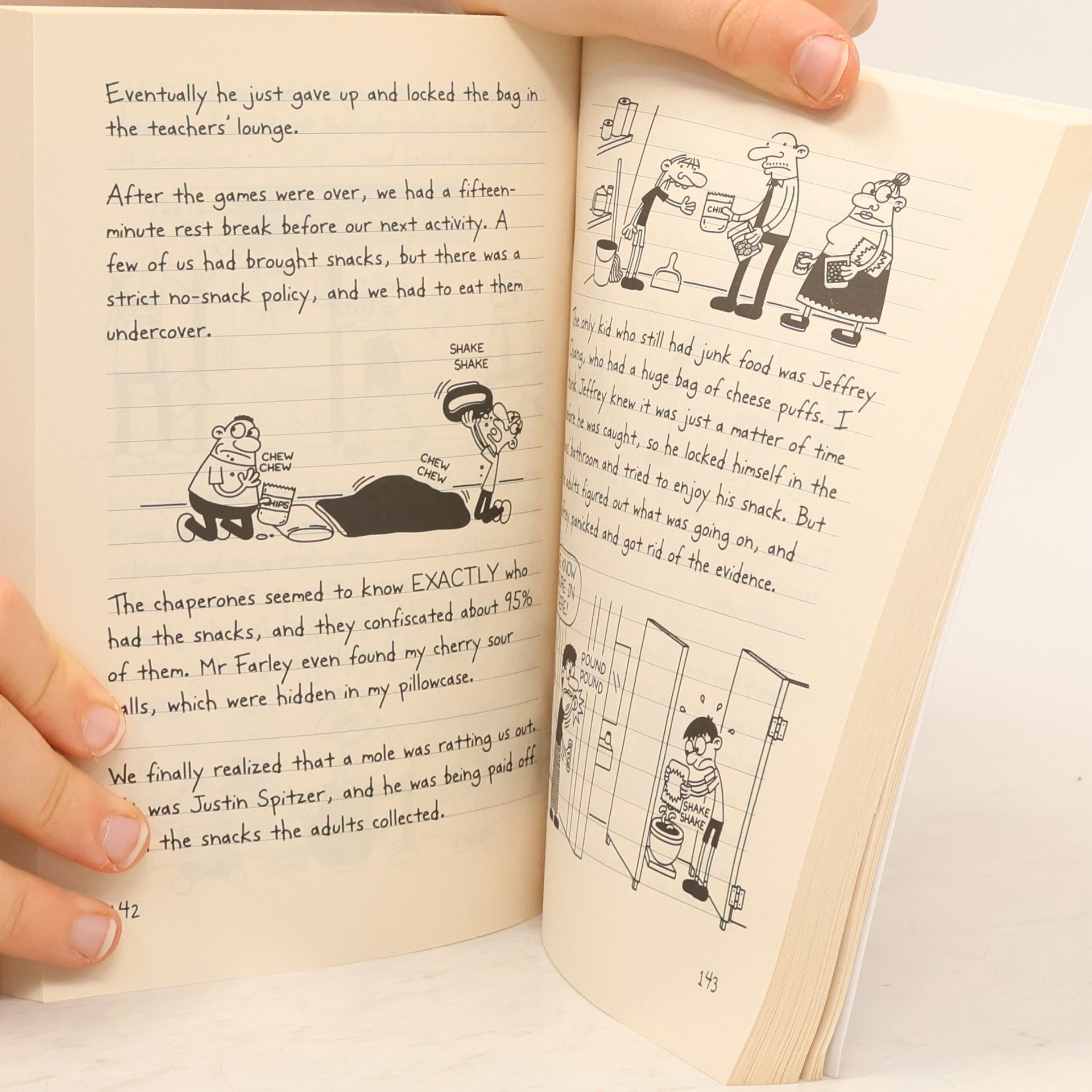 Jeff Kinney Diary of a Wimpy Kid. The Ugly Truth