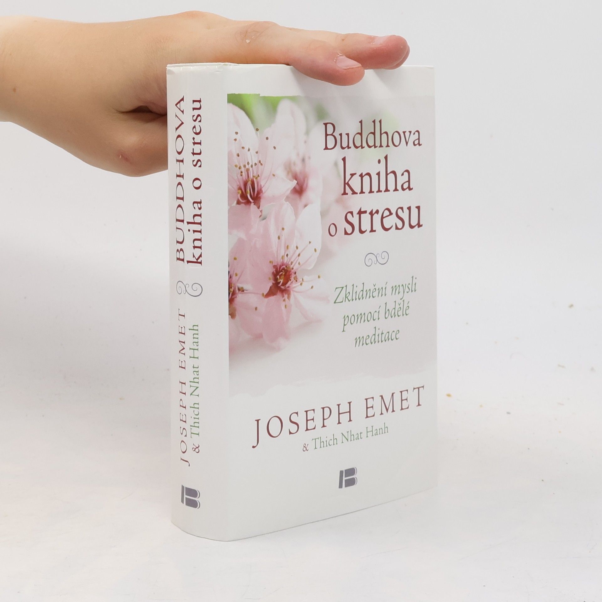 Hạnh Nhat Buddhova kniha o stresu: Zklidnění mysli pomocí bdělé meditace