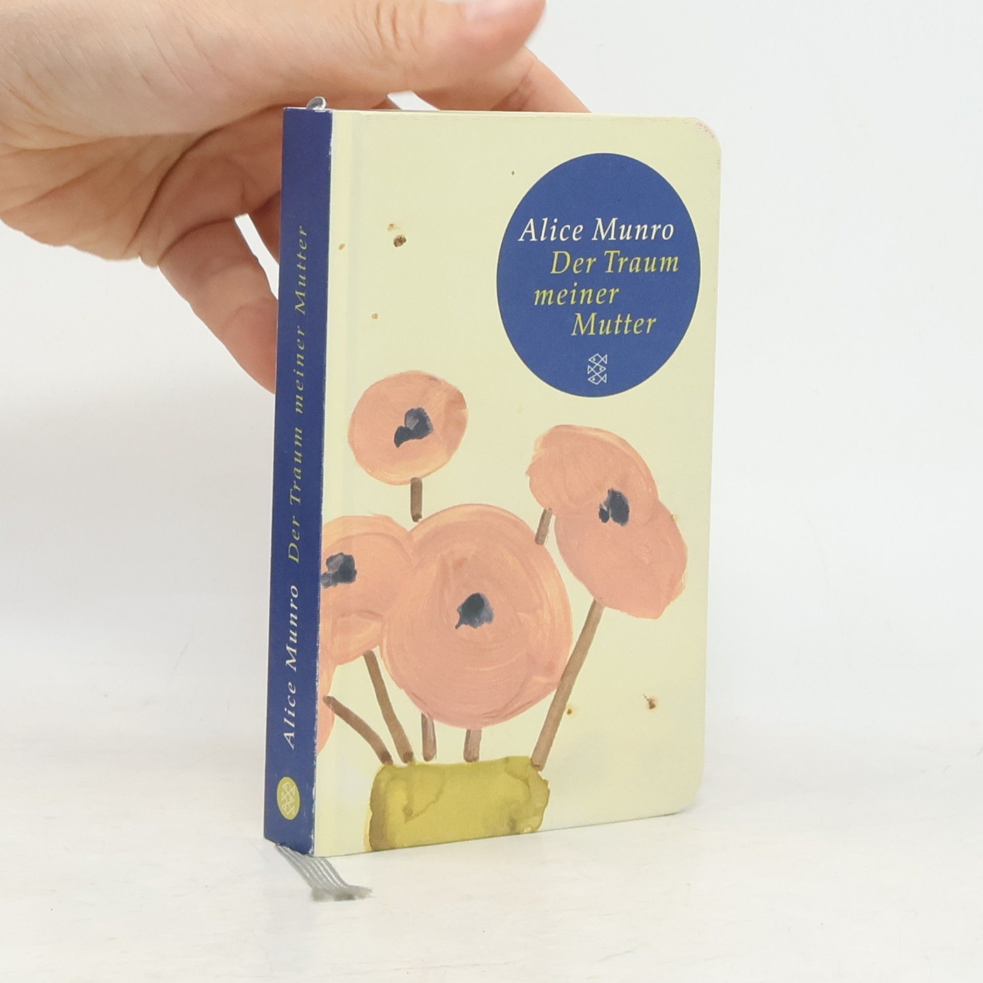 Alice Munro Der Traum meiner Mutter
