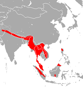 BERJAYA