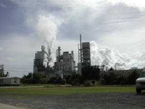 BERJAYA