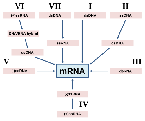 BERJAYA