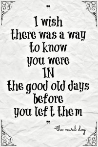 andy-bernard-quote2