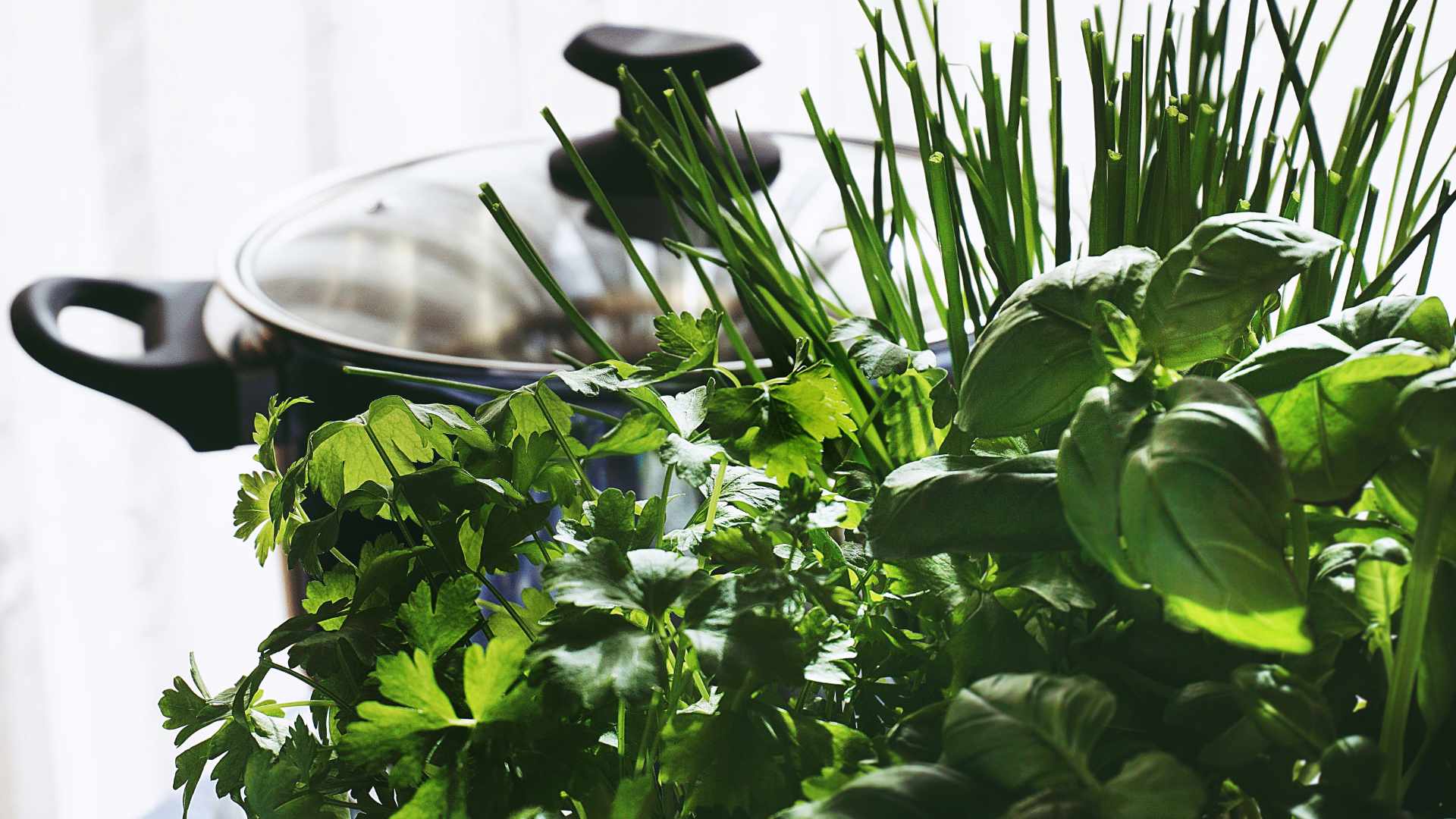 Herbs and pan. Herbs and pan.