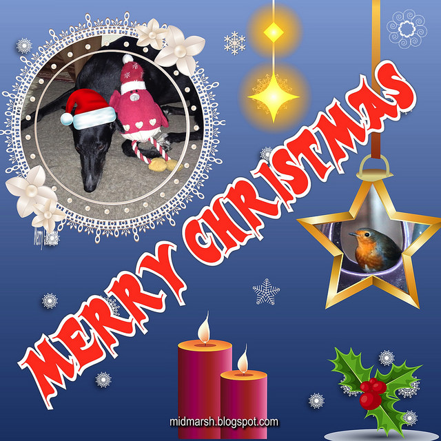 Xmas14c
