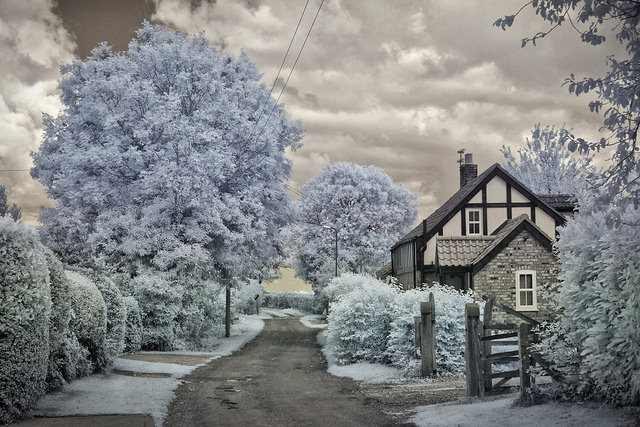 _MG_8203hdr
