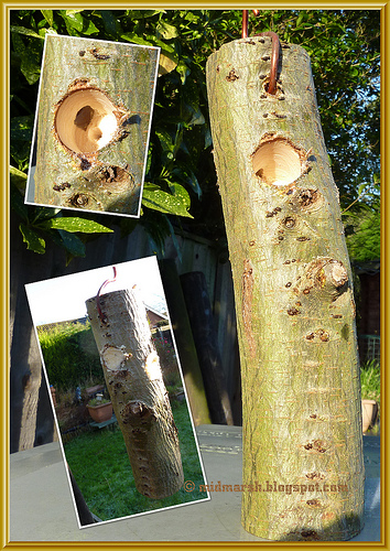 Home Made Peanut Butter Feeder