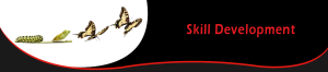 skill-banner