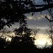 DSC03391