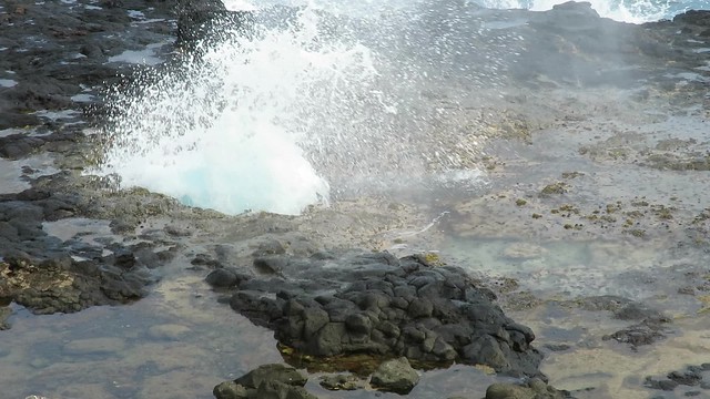 MVI_3124